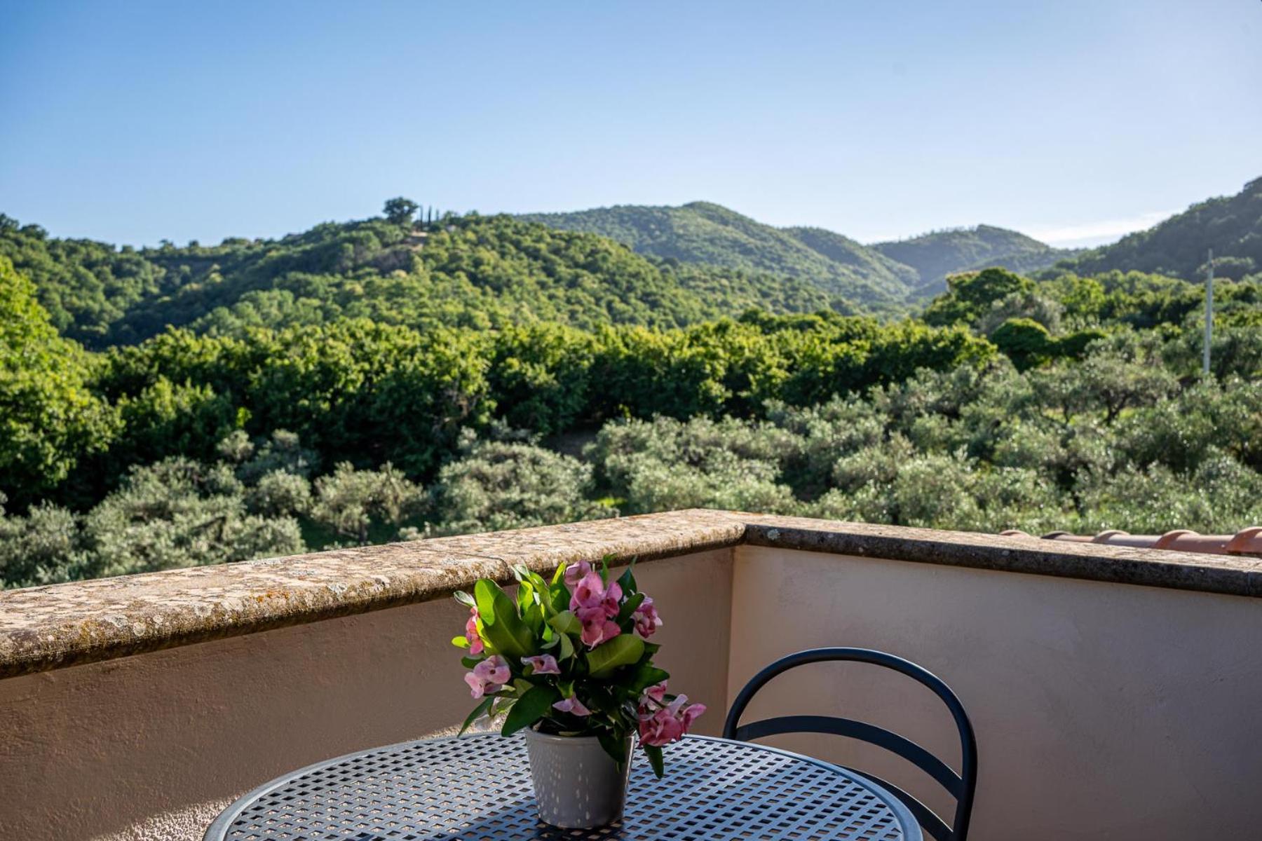 Deluxe Double or Twin Room with Garden View photo 2