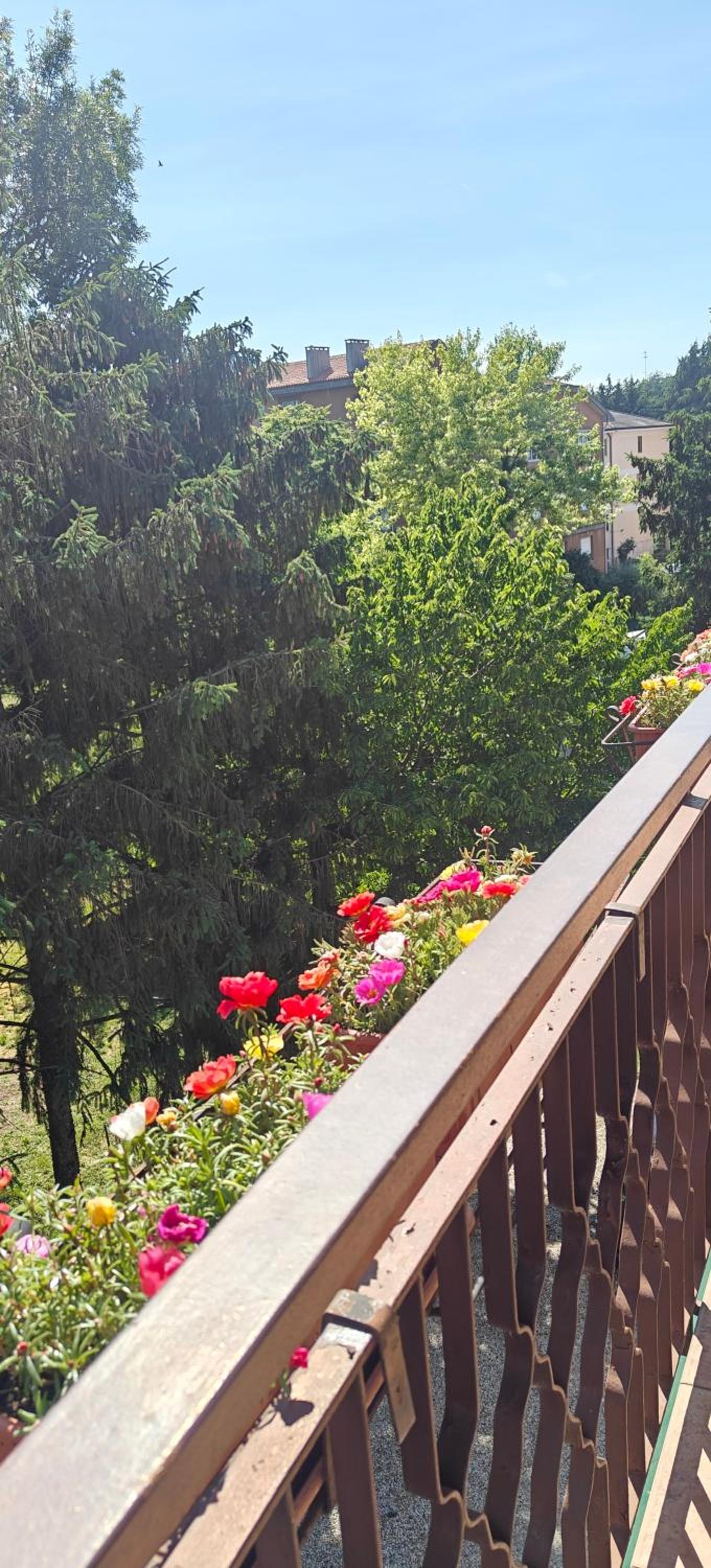 Two-Bedroom Apartment with Terrace photo 3