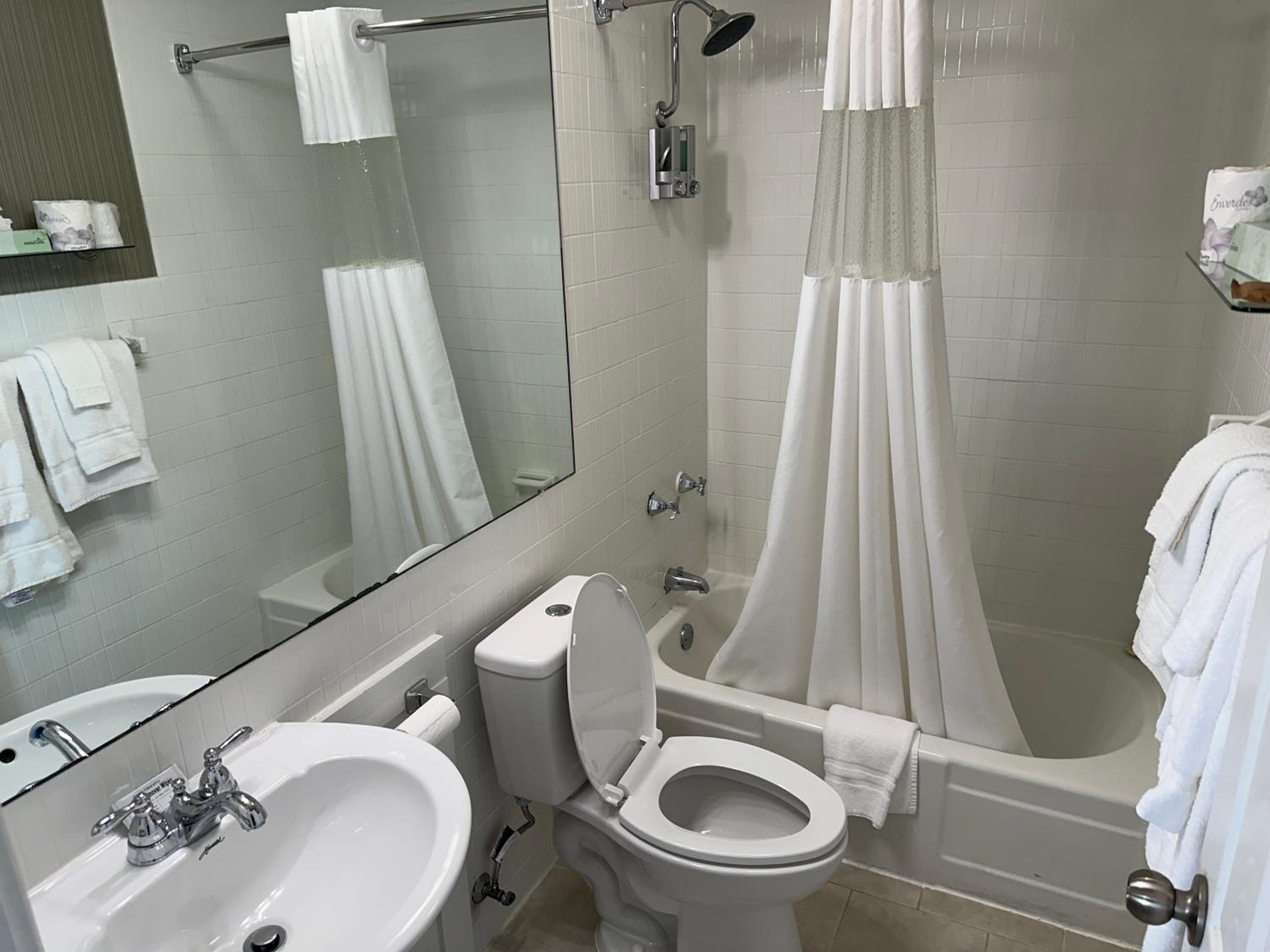 Deluxe Queen Suite - Photo 3