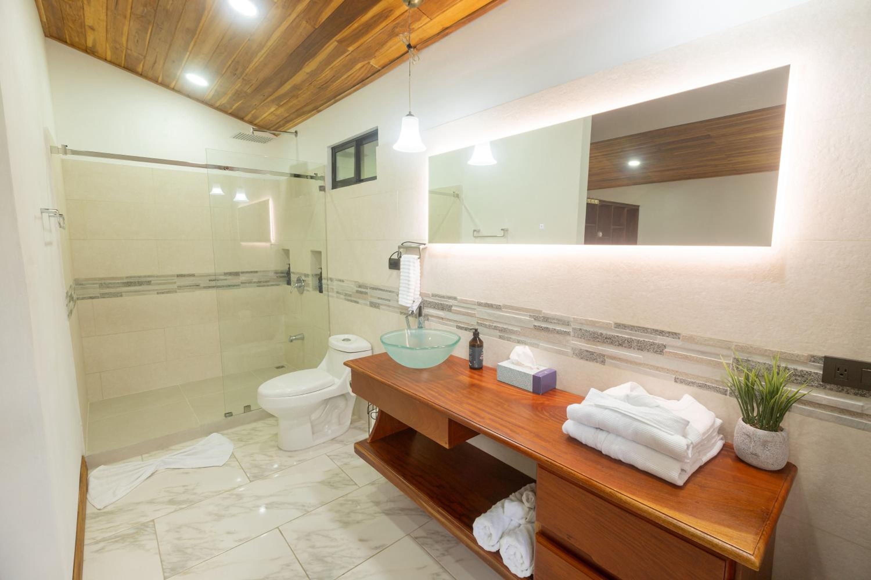 Duplex Apartment photo 2