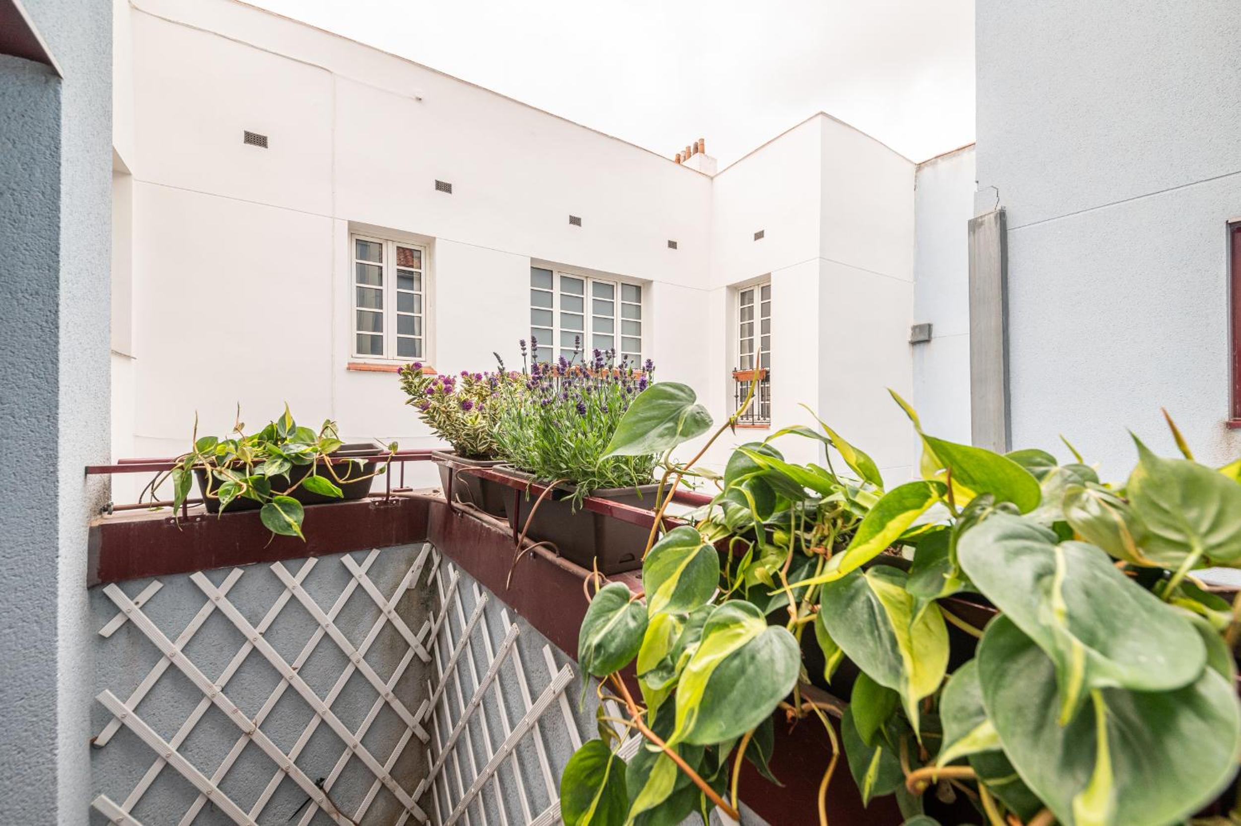 One-Bedroom Deluxe Apartment with Balcony photo 3