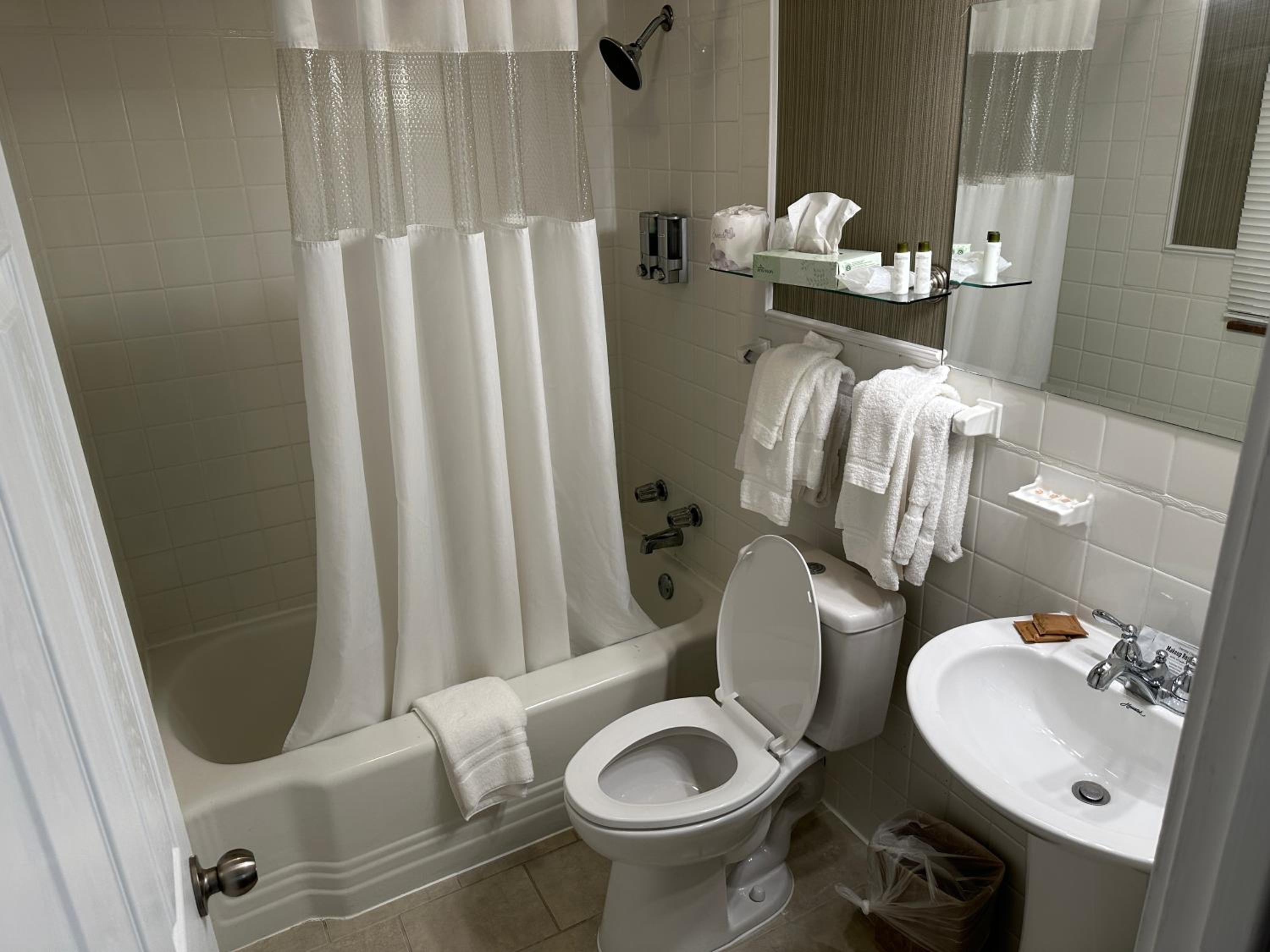 Deluxe King Suite - Photo 7