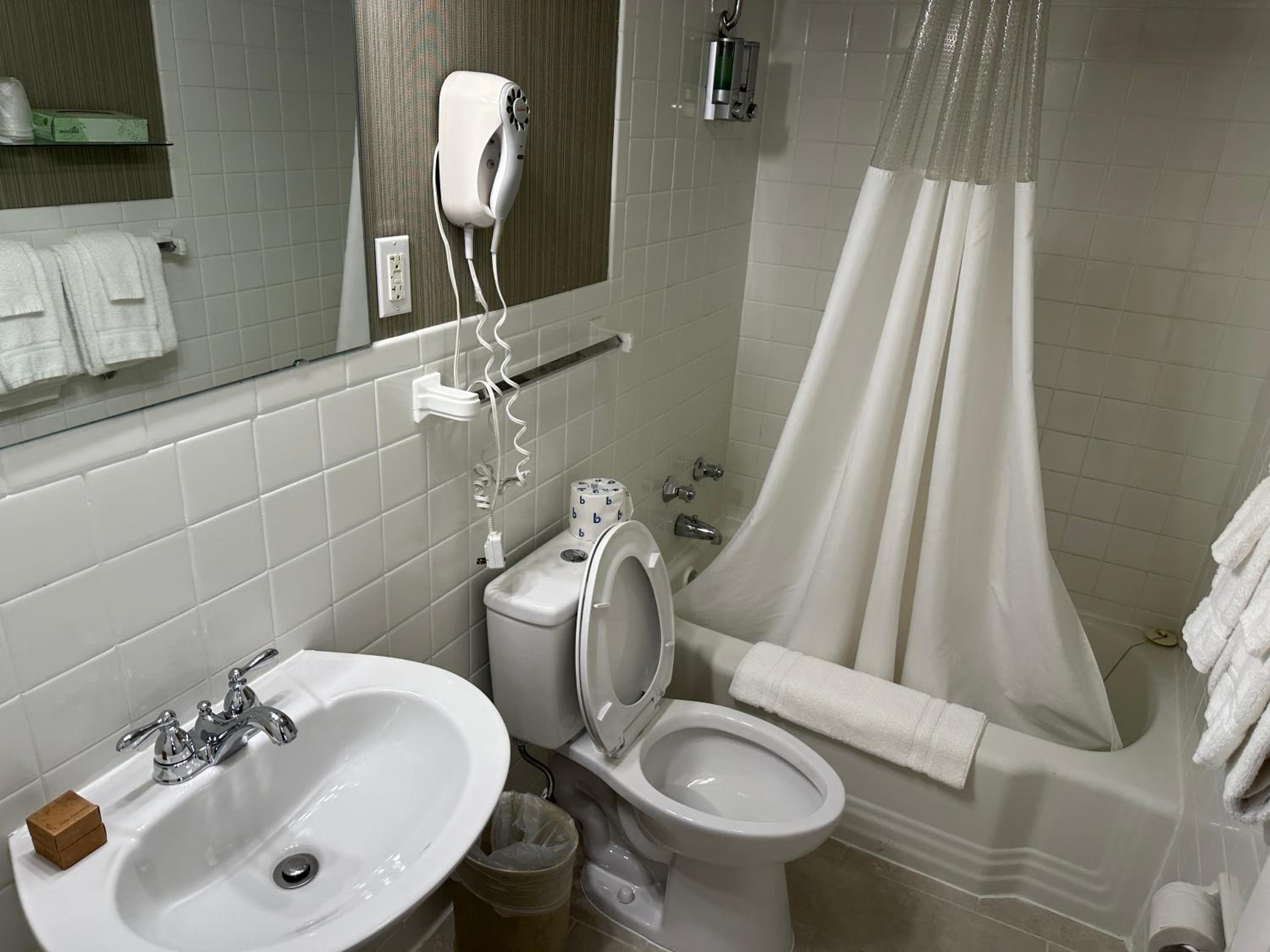 Deluxe Suite with Spa Bath - Photo 8