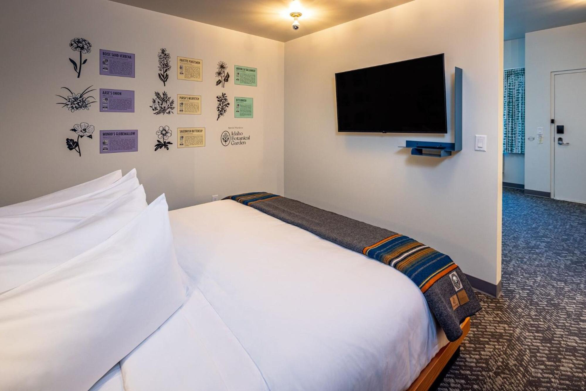 Superior King Suite