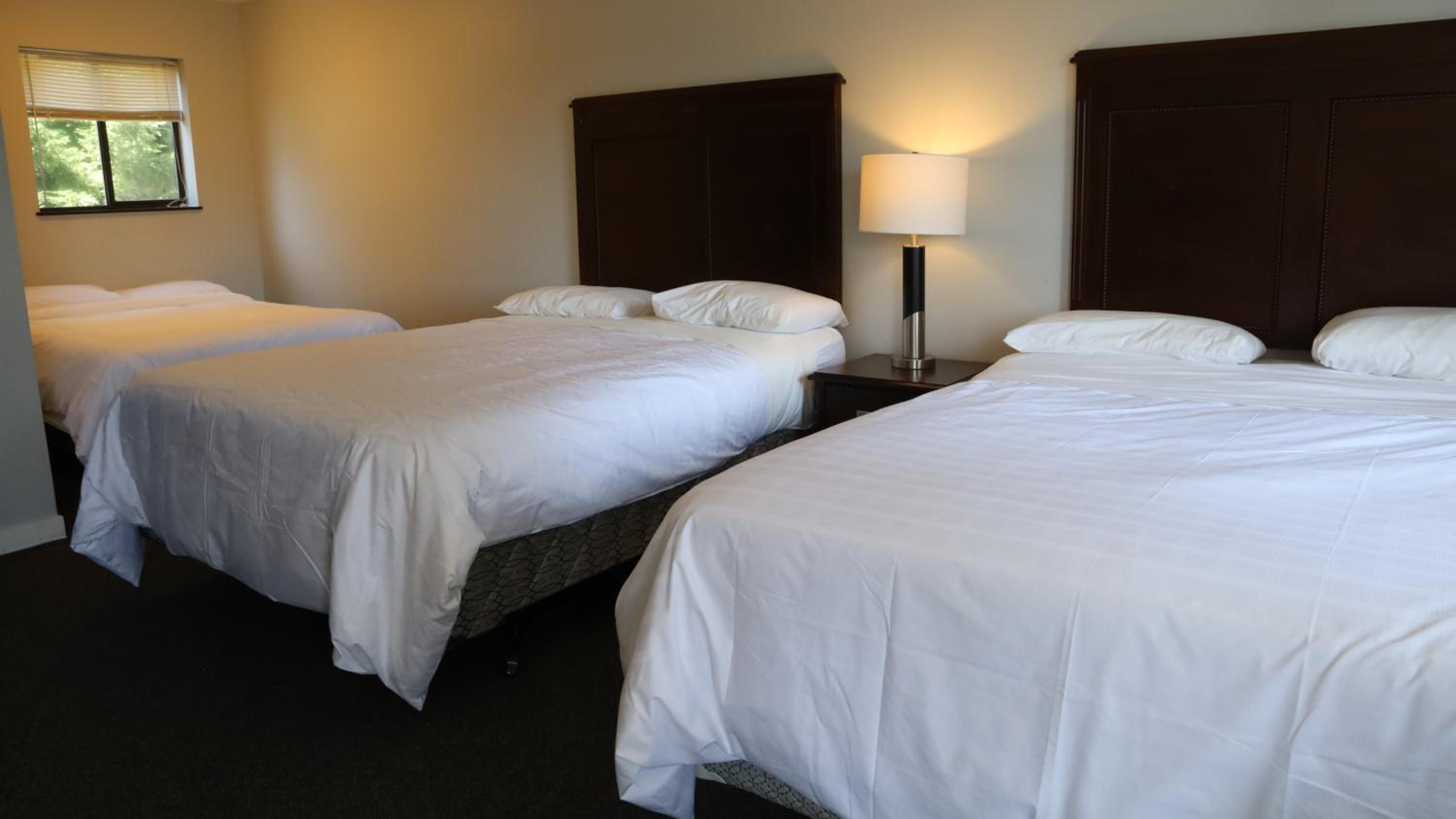 Large Room with Three Beds - Pet Free photo 3
