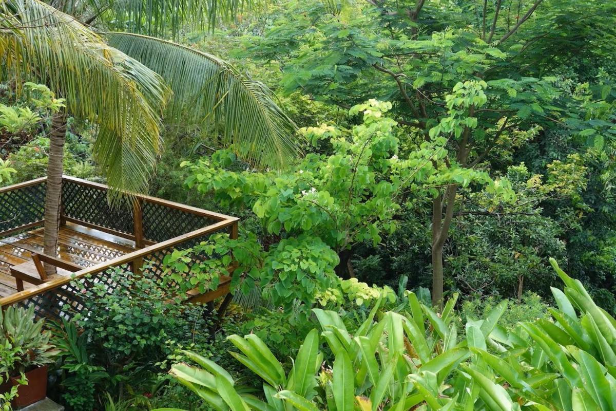 King Room with Garden View photo 2