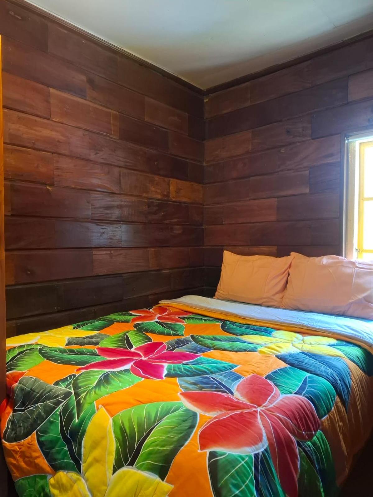 One-Bedroom House photo 1