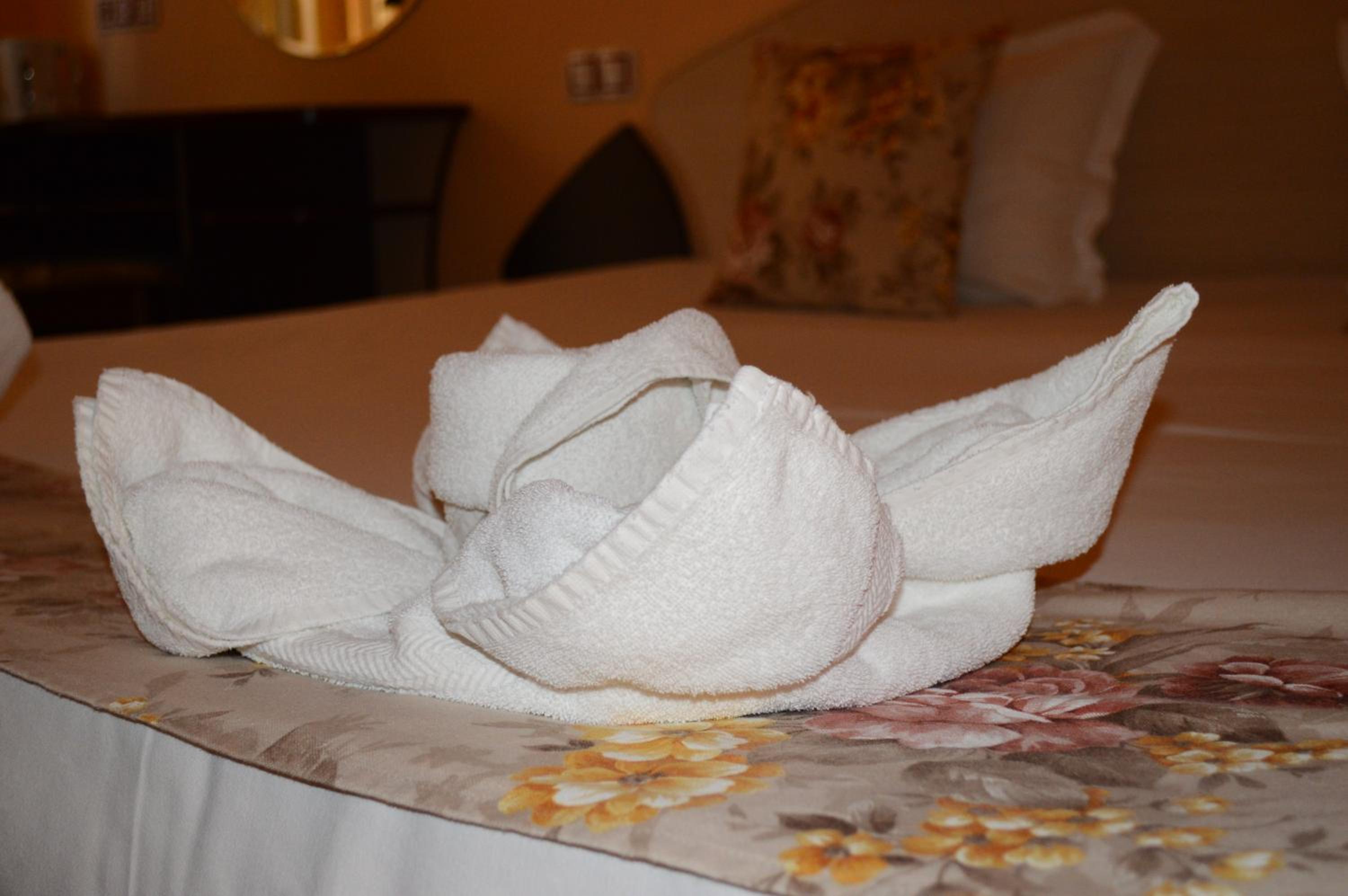 Standard Double or Twin Room - Photo 5