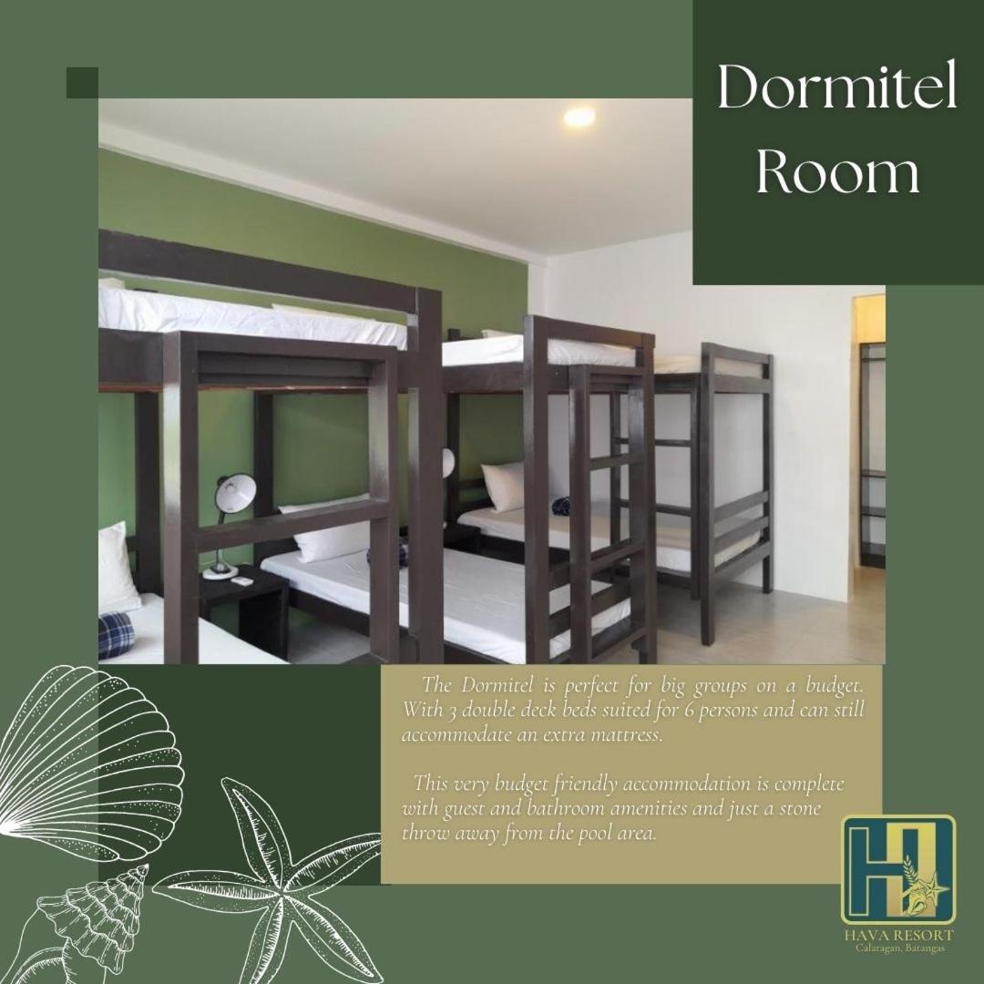 6-Bed Mixed Dormitory Room photo 1