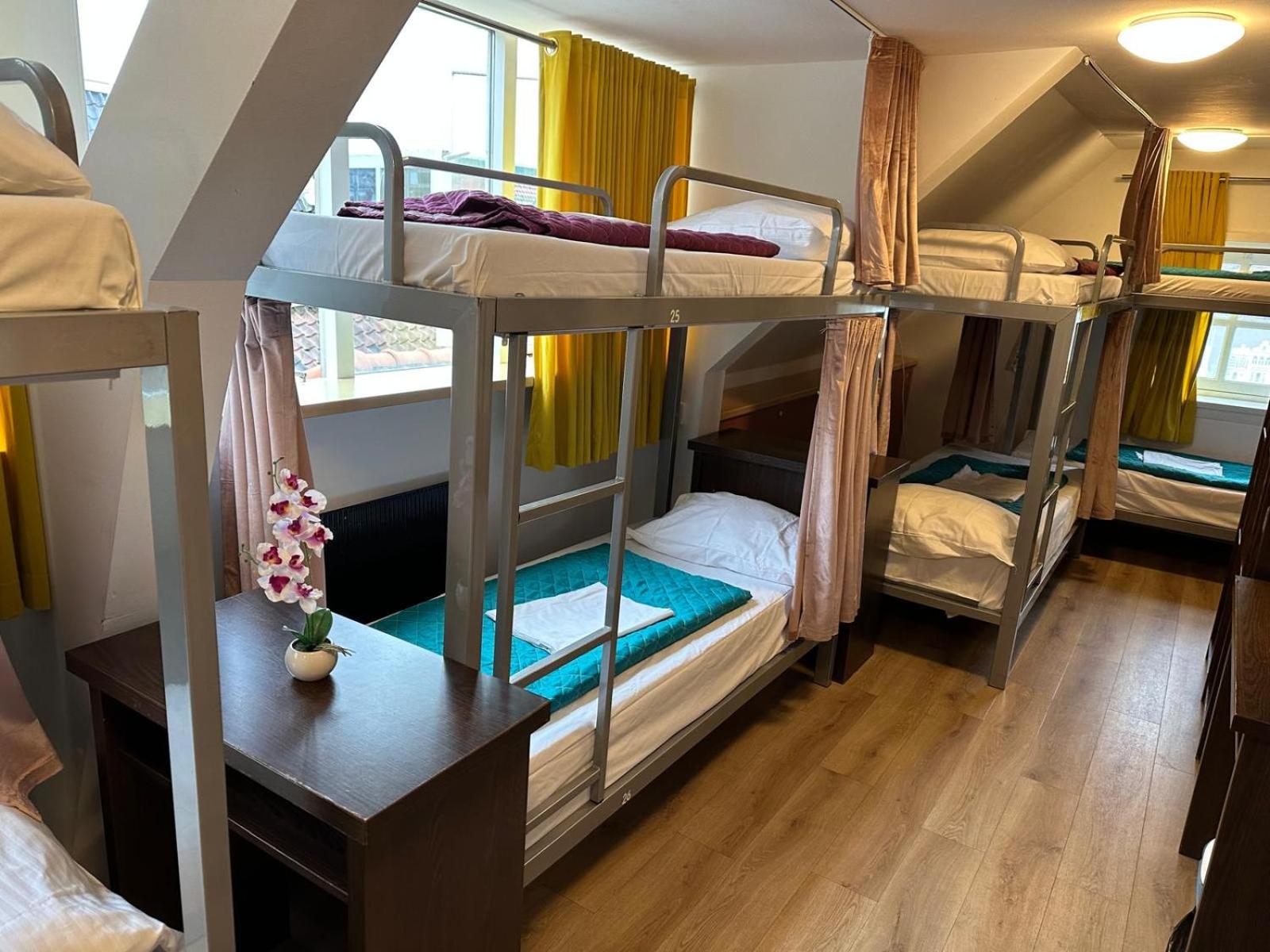 Bunk Bed in Mixed Dormitory Room photo 1