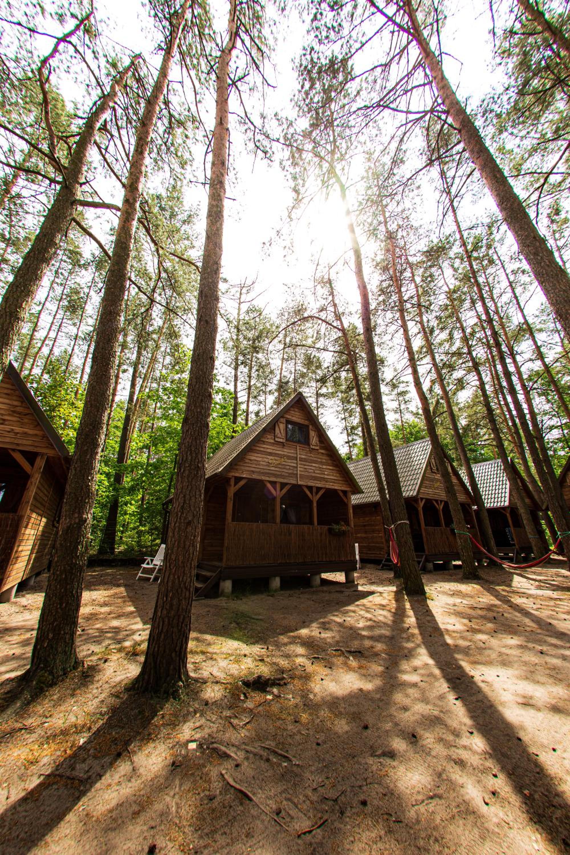 Two-Bedroom Chalet - Photo 9