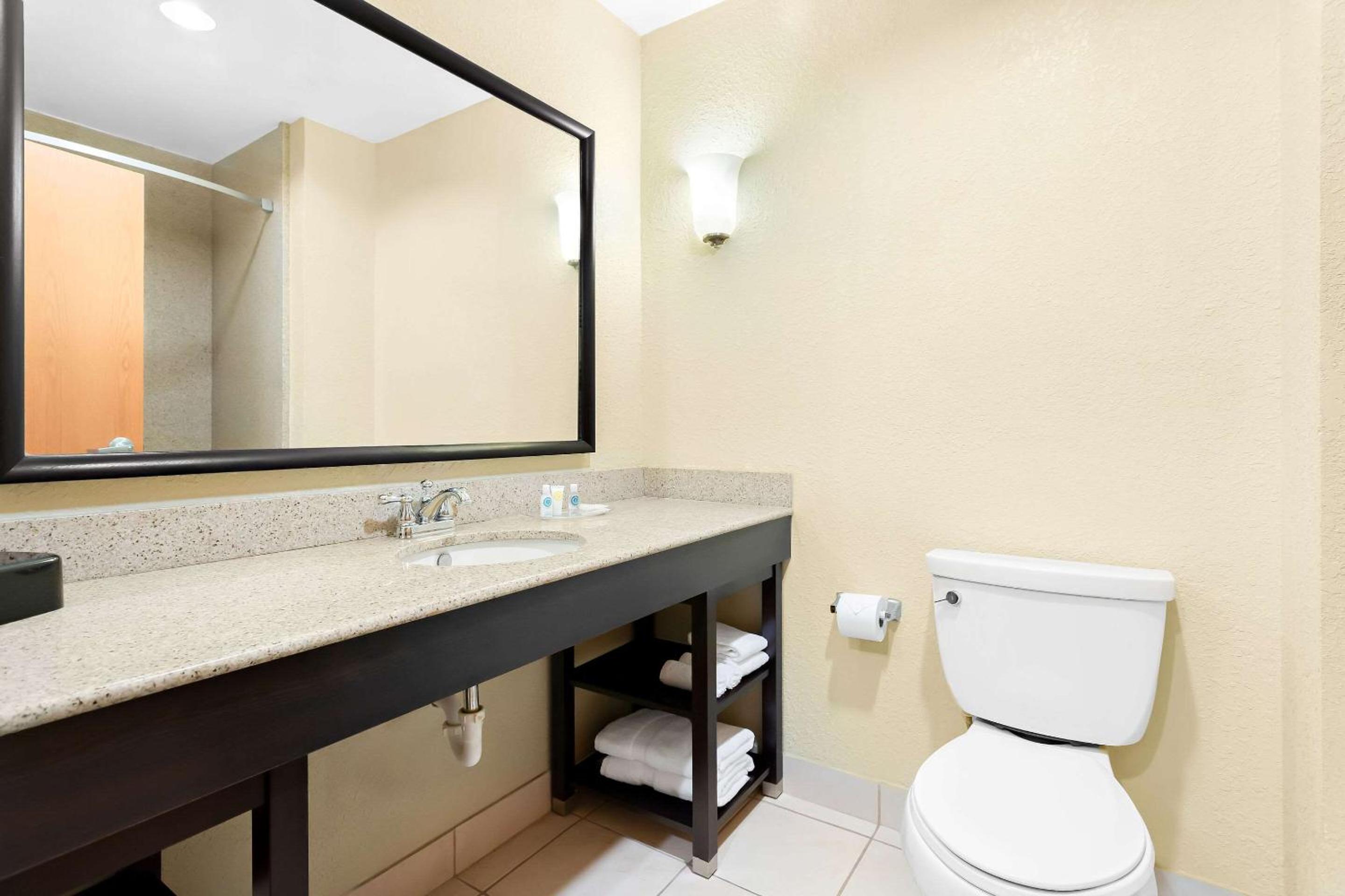 King Suite - Non-Smoking - Photo 4