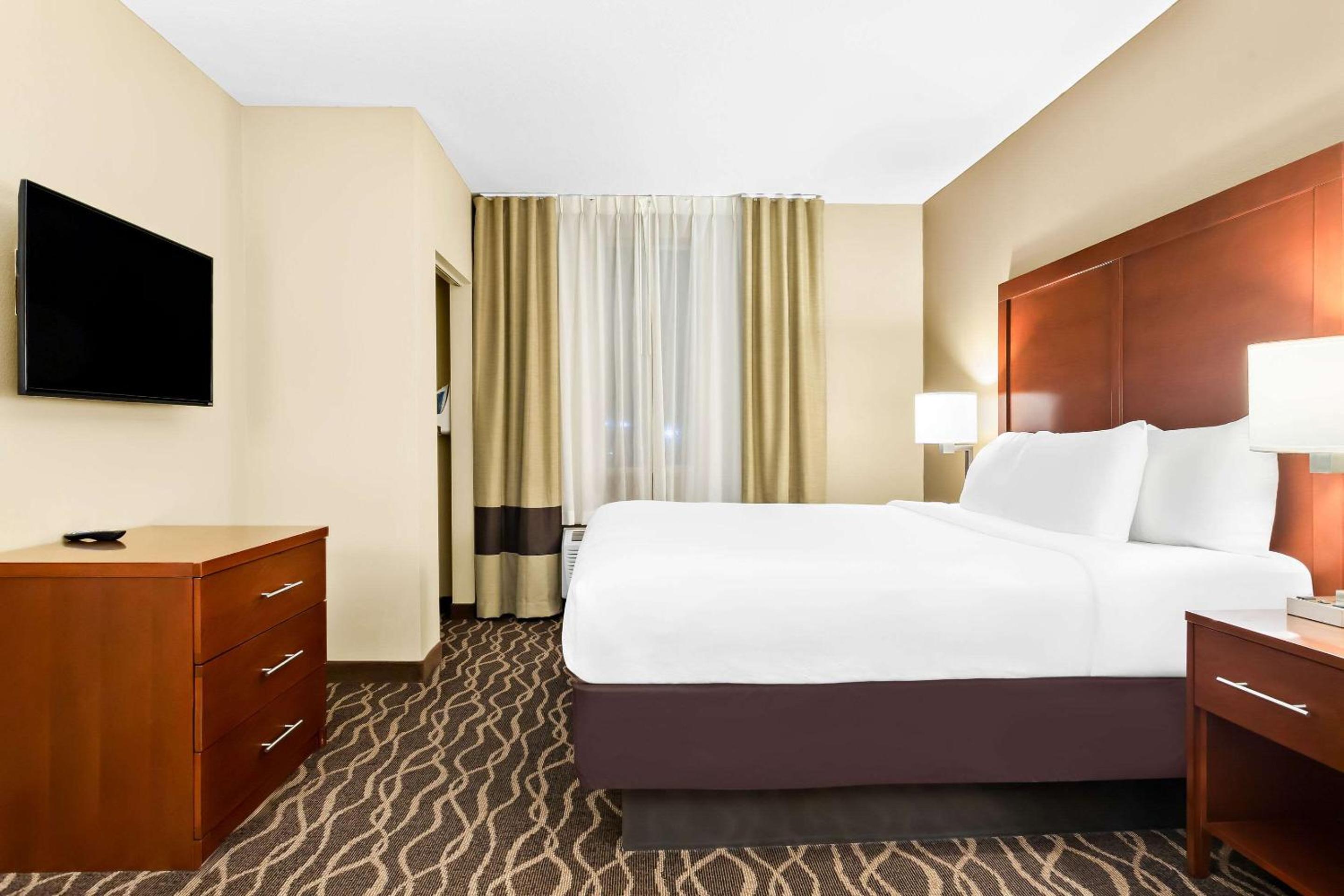 King Suite - Accessible /Non Smoking First Floor - Photo 1