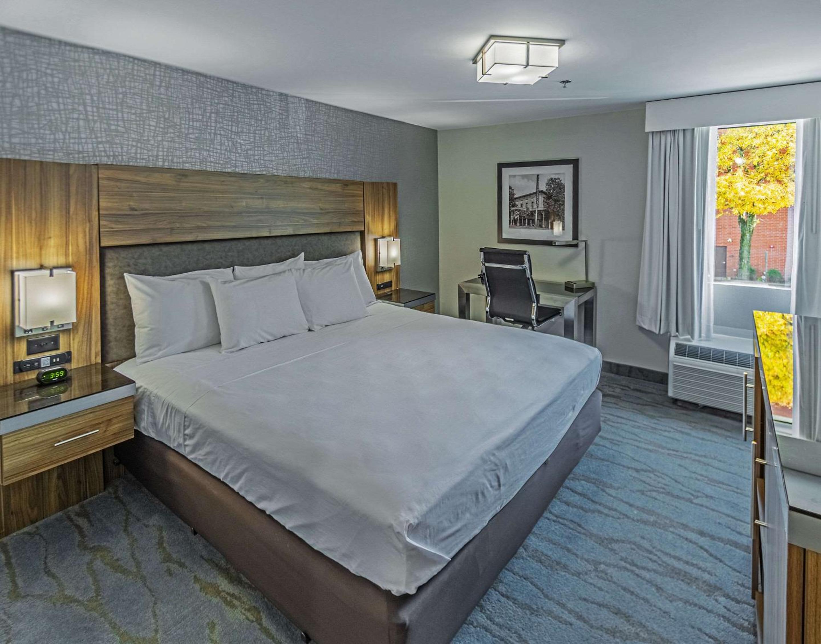 1 King Bed, City View - Photo 1