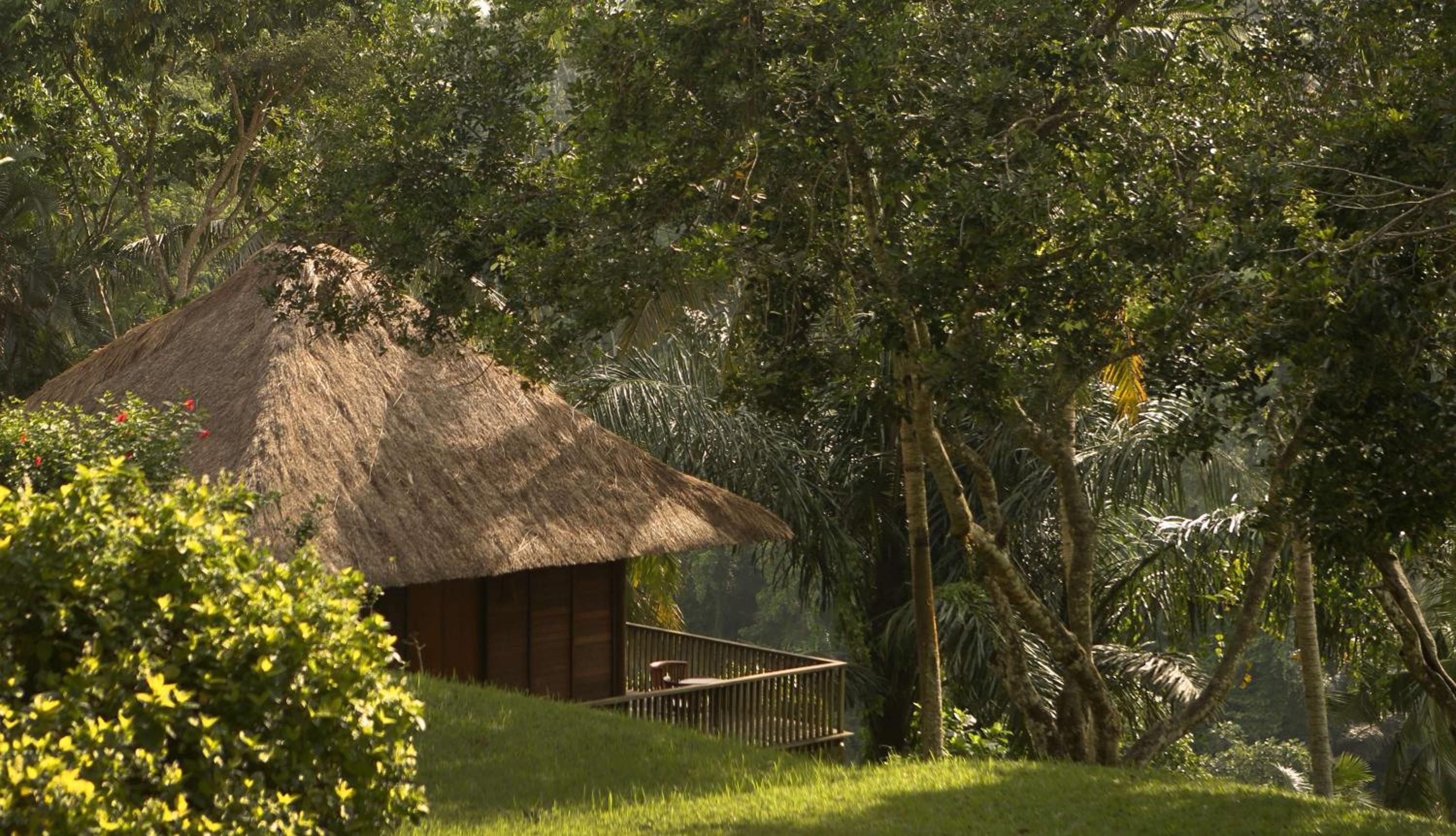 Villa ,Daily Afternoon Tea, Complimentary 60-minute photography session with one photo included, Daily schedule shuttle service to Ubud, Daily wellness activities, Bicycles for personal use around the resort thumbnail 5