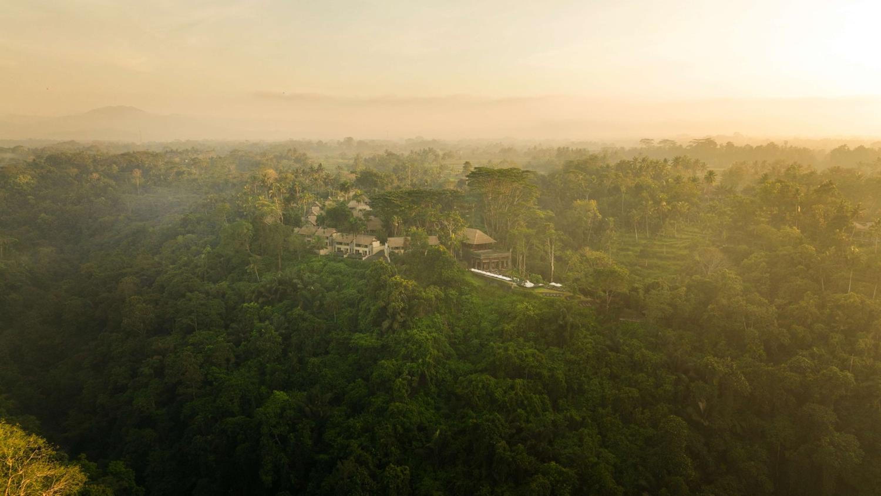 King Room,Daily Afternoon Tea, Complimentary 60-minute photography session with one photo included, Daily schedule shuttle service to Ubud, Daily wellness activities, Bicycles for personal use around the resort
