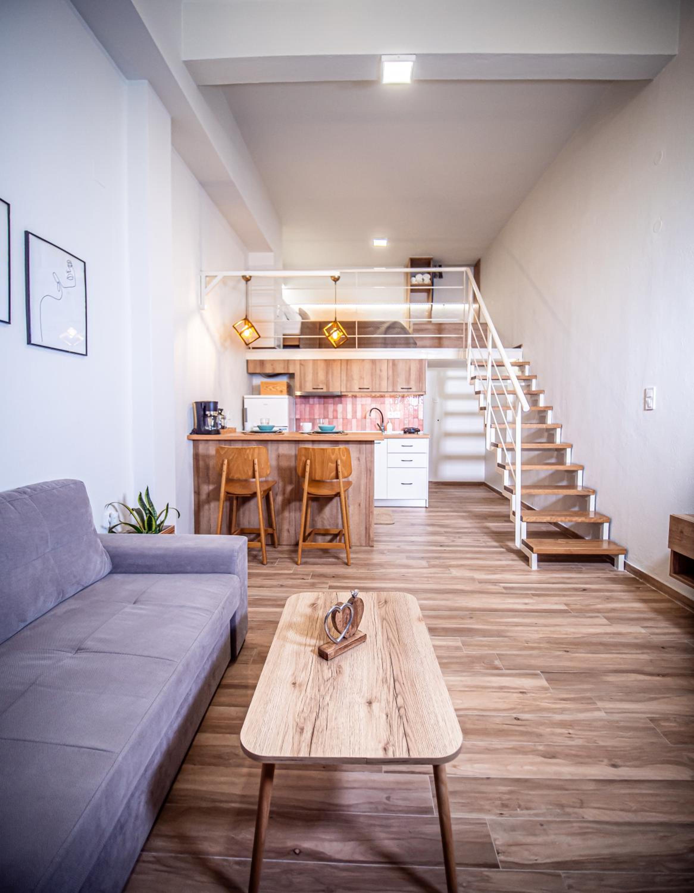 One-bedroom Loft Apartment 