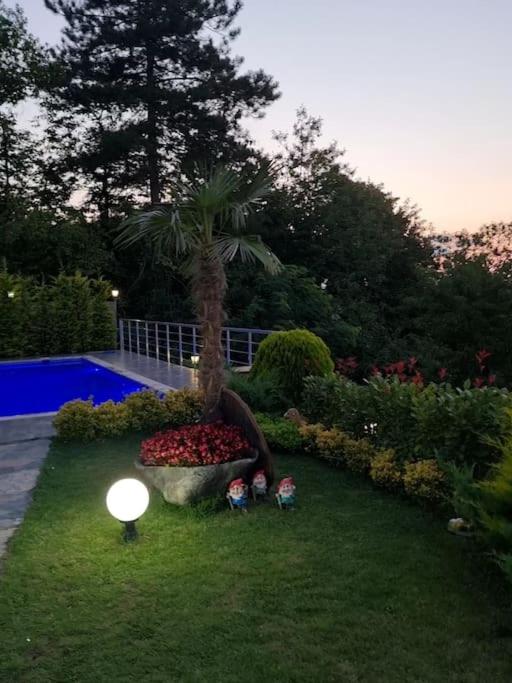 Villa photo 3