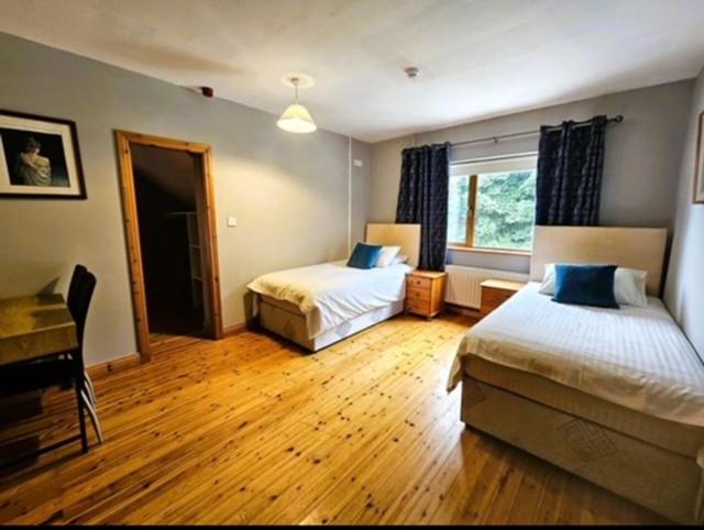 Double or Twin Room photo 1