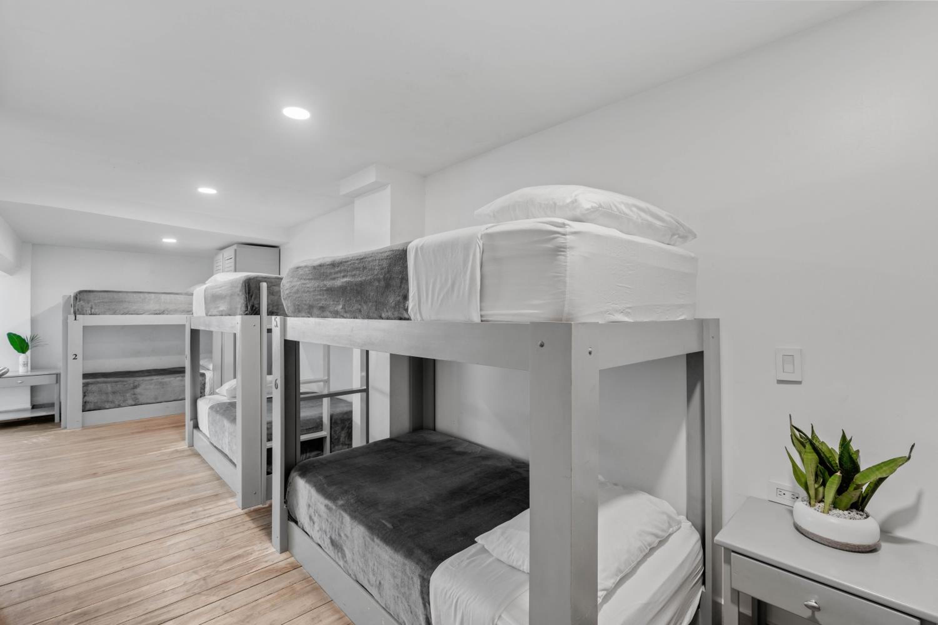 Single Bed in Dormitory Room photo 3