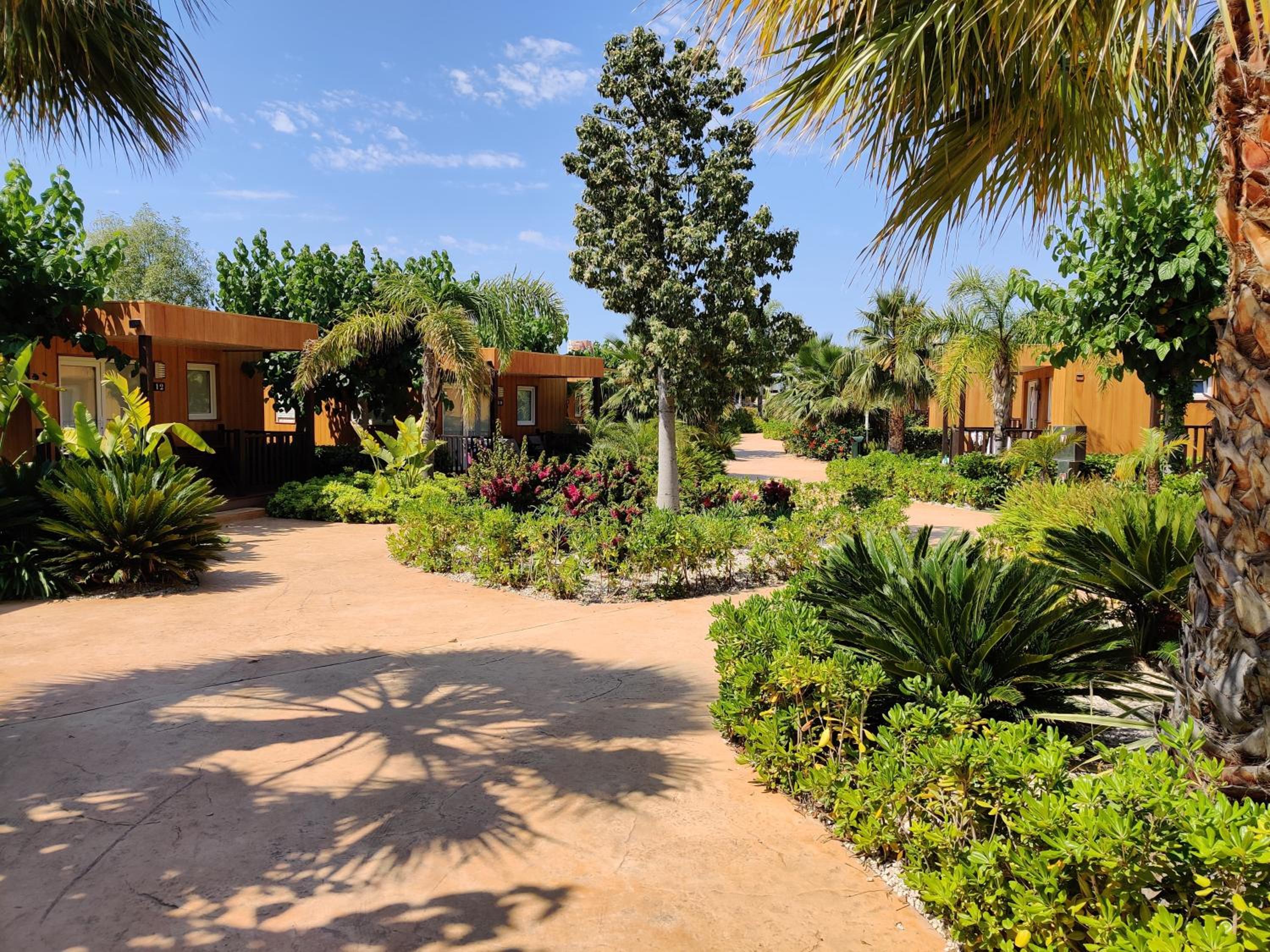 2 Bedroom Resort  photo 3
