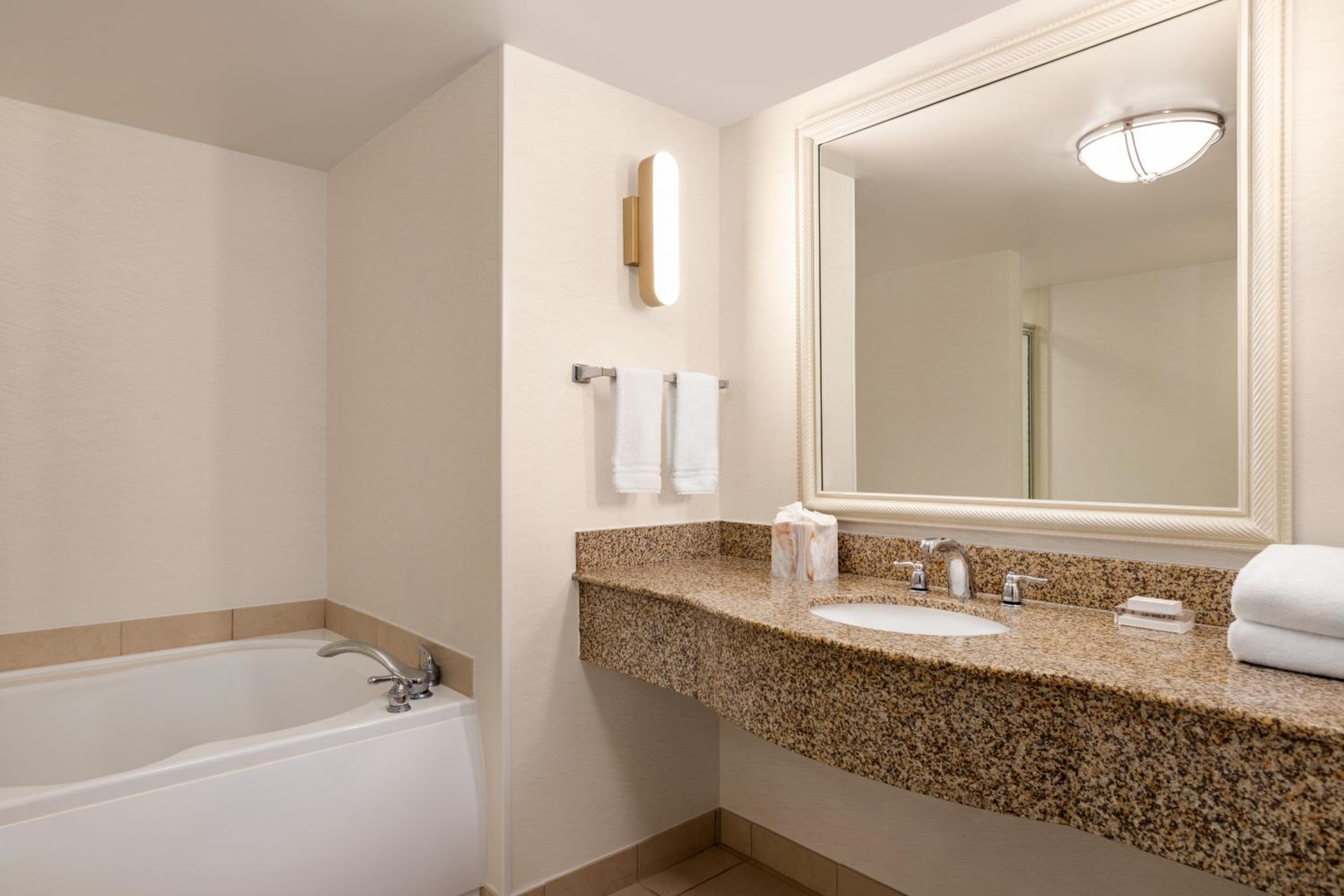 One-Bedroom King Suite - Photo 9