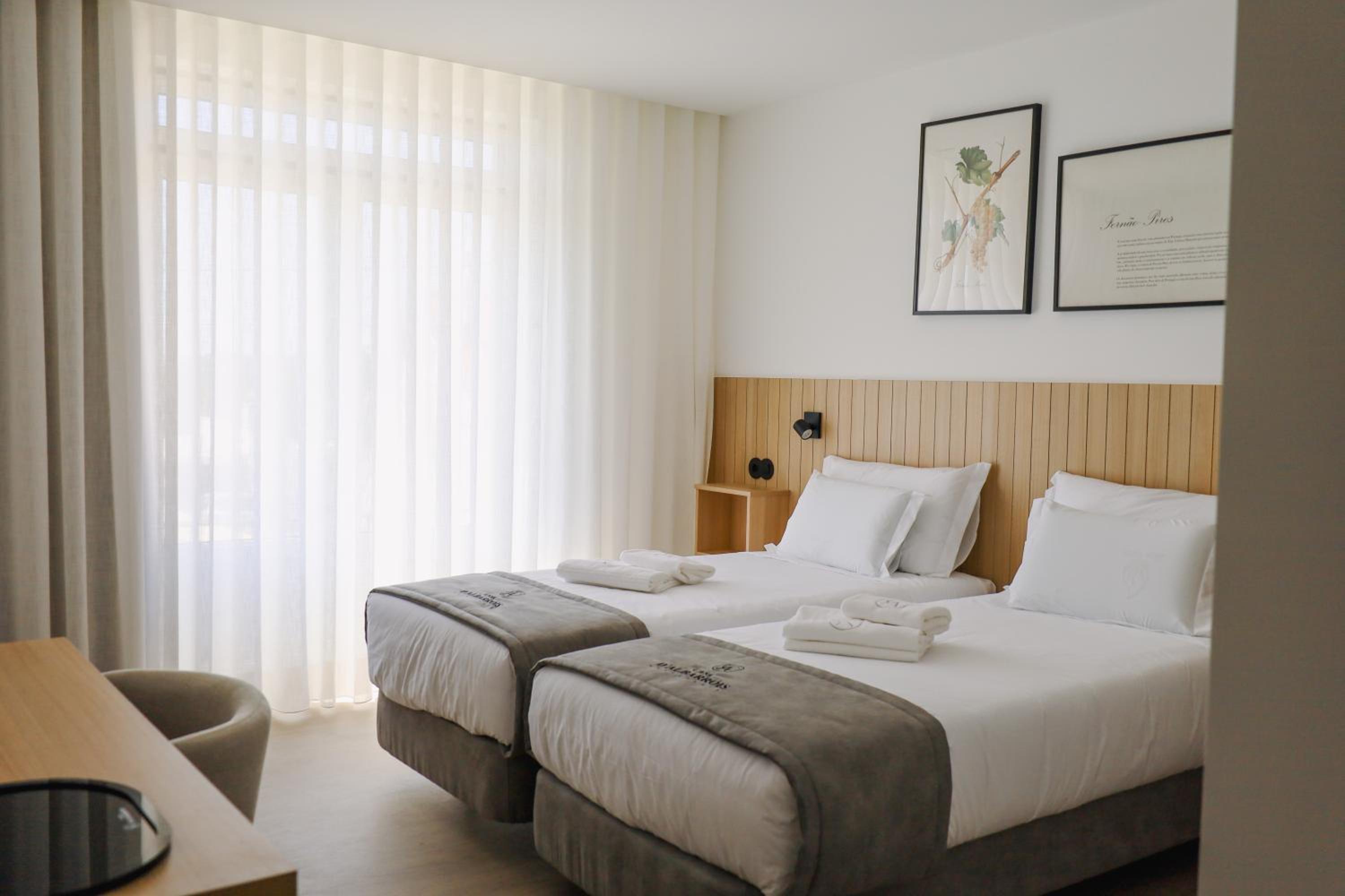 Double or Twin Room with Mountain View