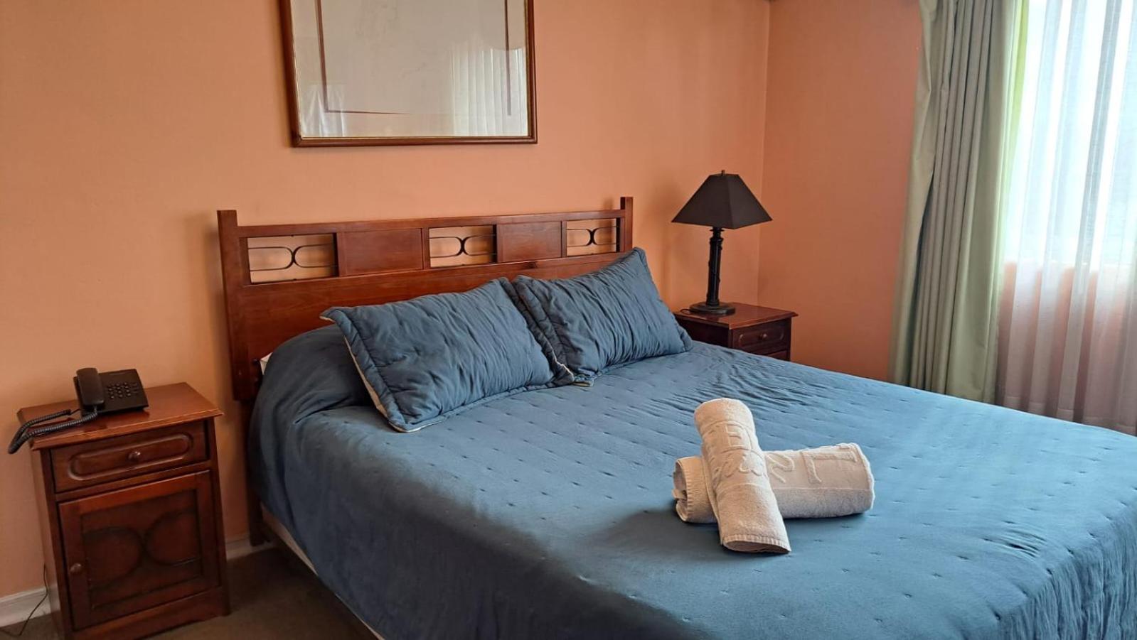 Single Room photo 1
