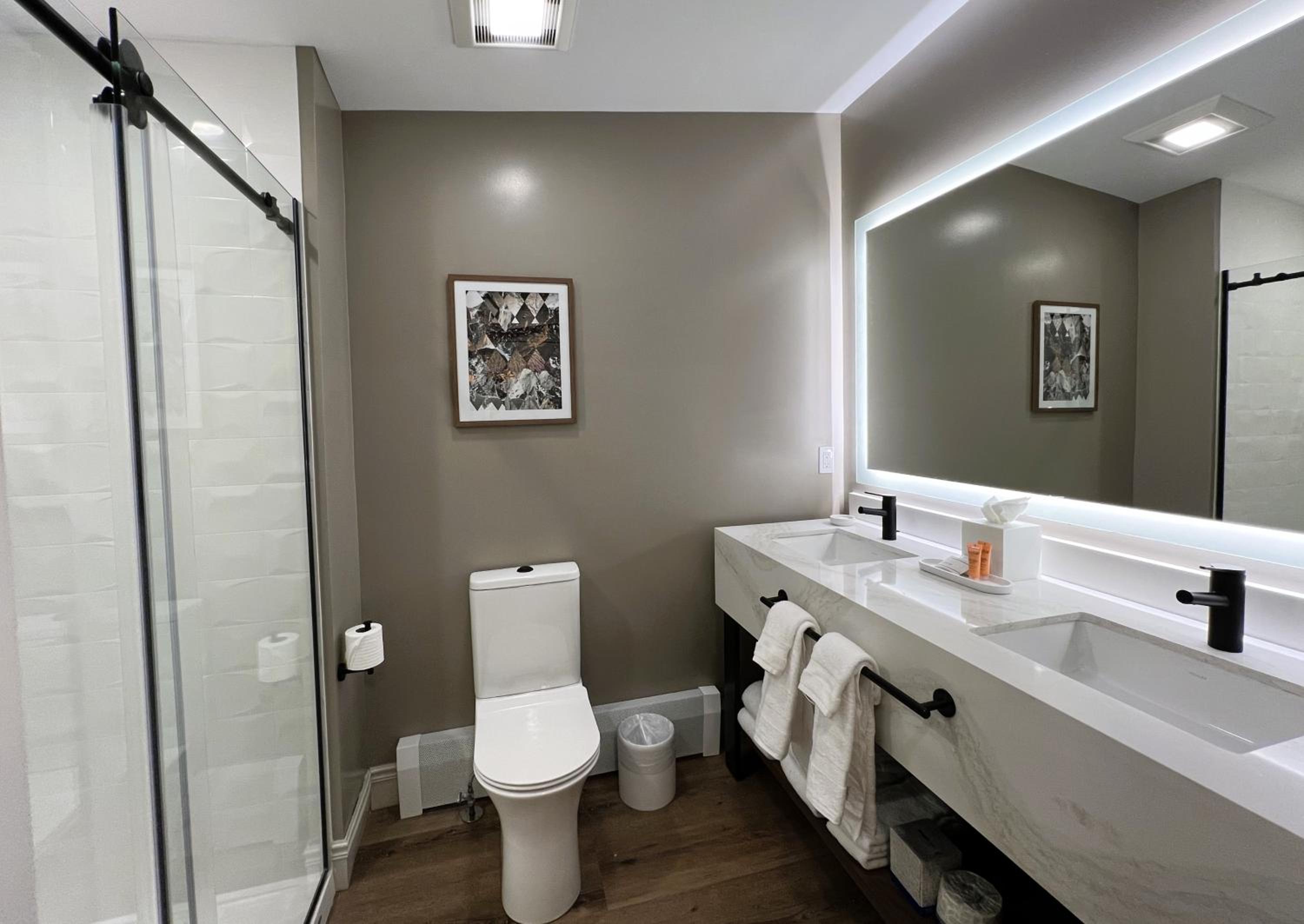  King Suite with Mountain View - Photo 5