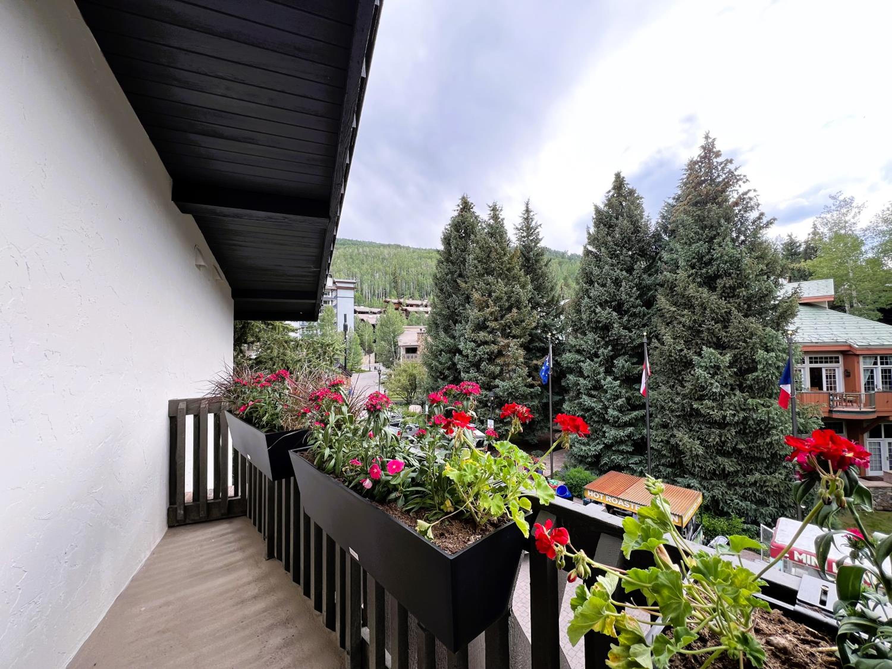  King Suite with Mountain View - Photo 8