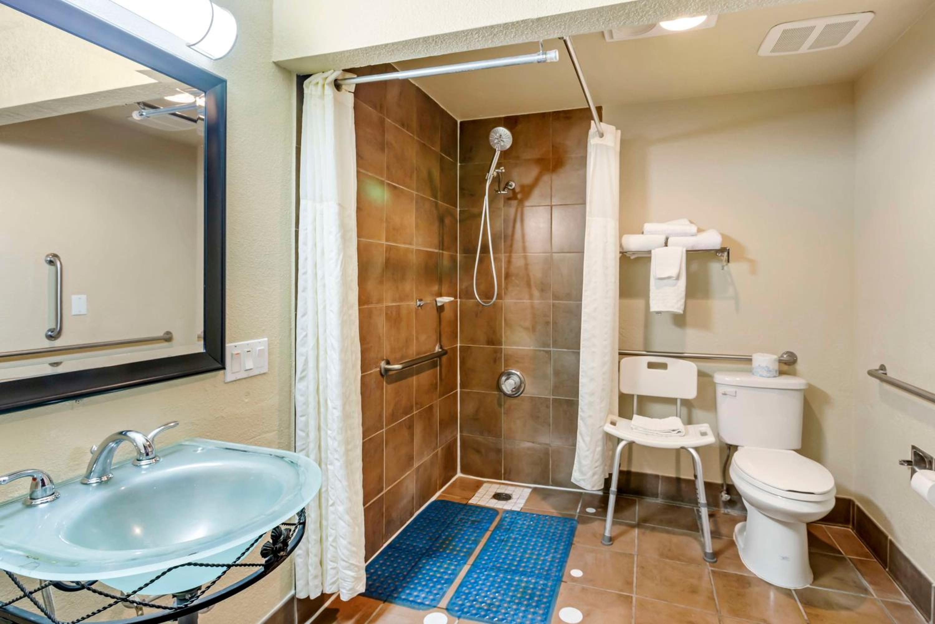 King Room with Roll-In Shower and Sofa Bed - Mobility Accessible/Non-Smoking - Photo 4