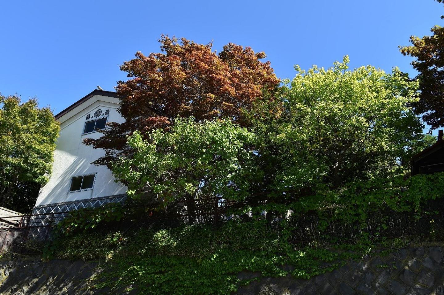 Apartment - Photo 7