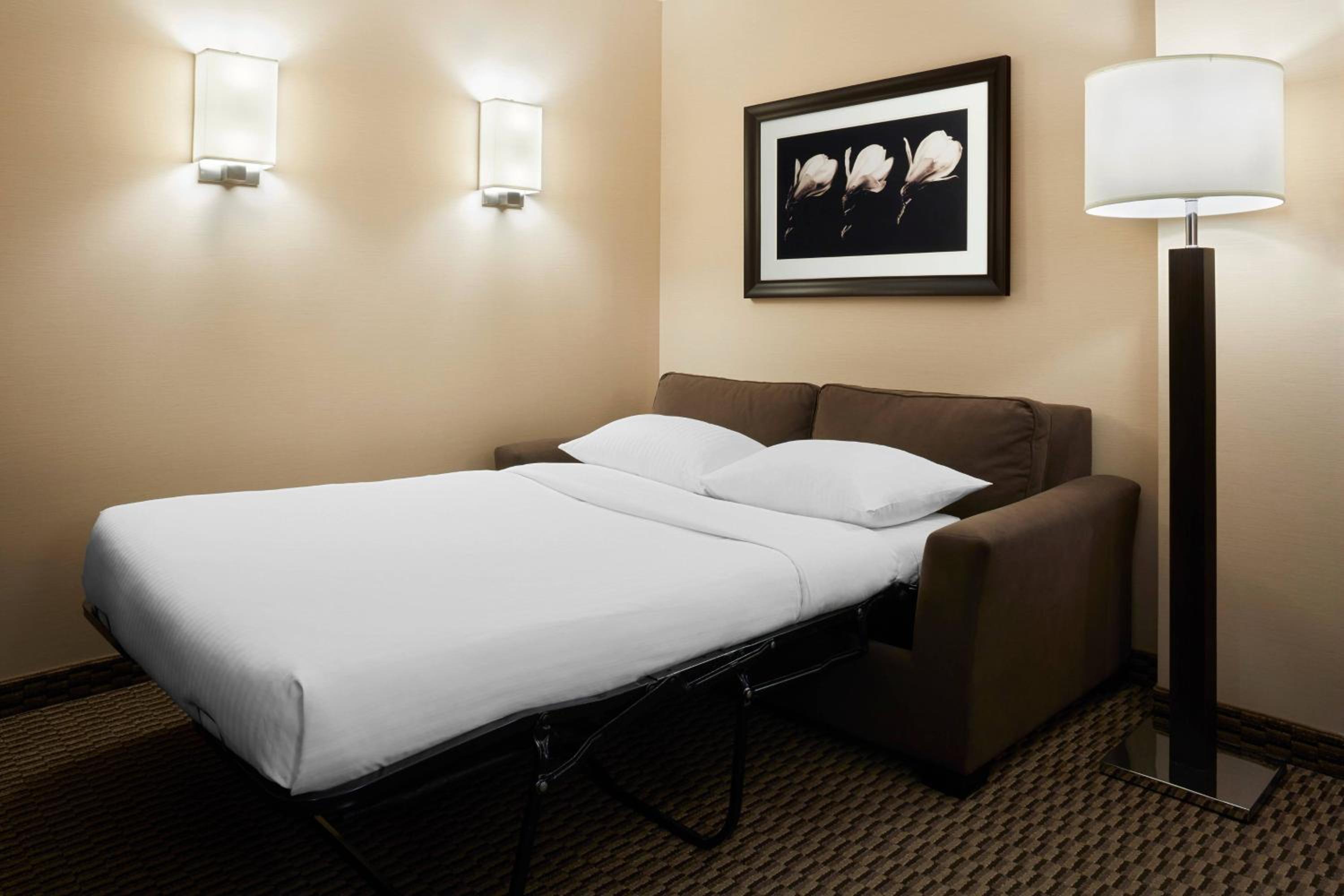 One-Bedroom Suite with Queen Bed and Sofa Bed - Photo 5