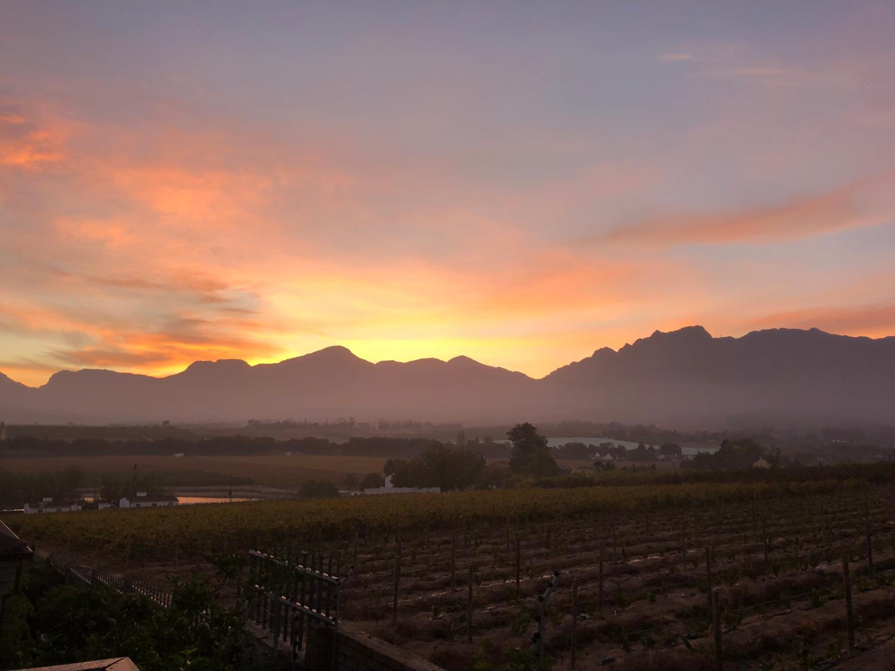 Standard Double Room - Photo 41