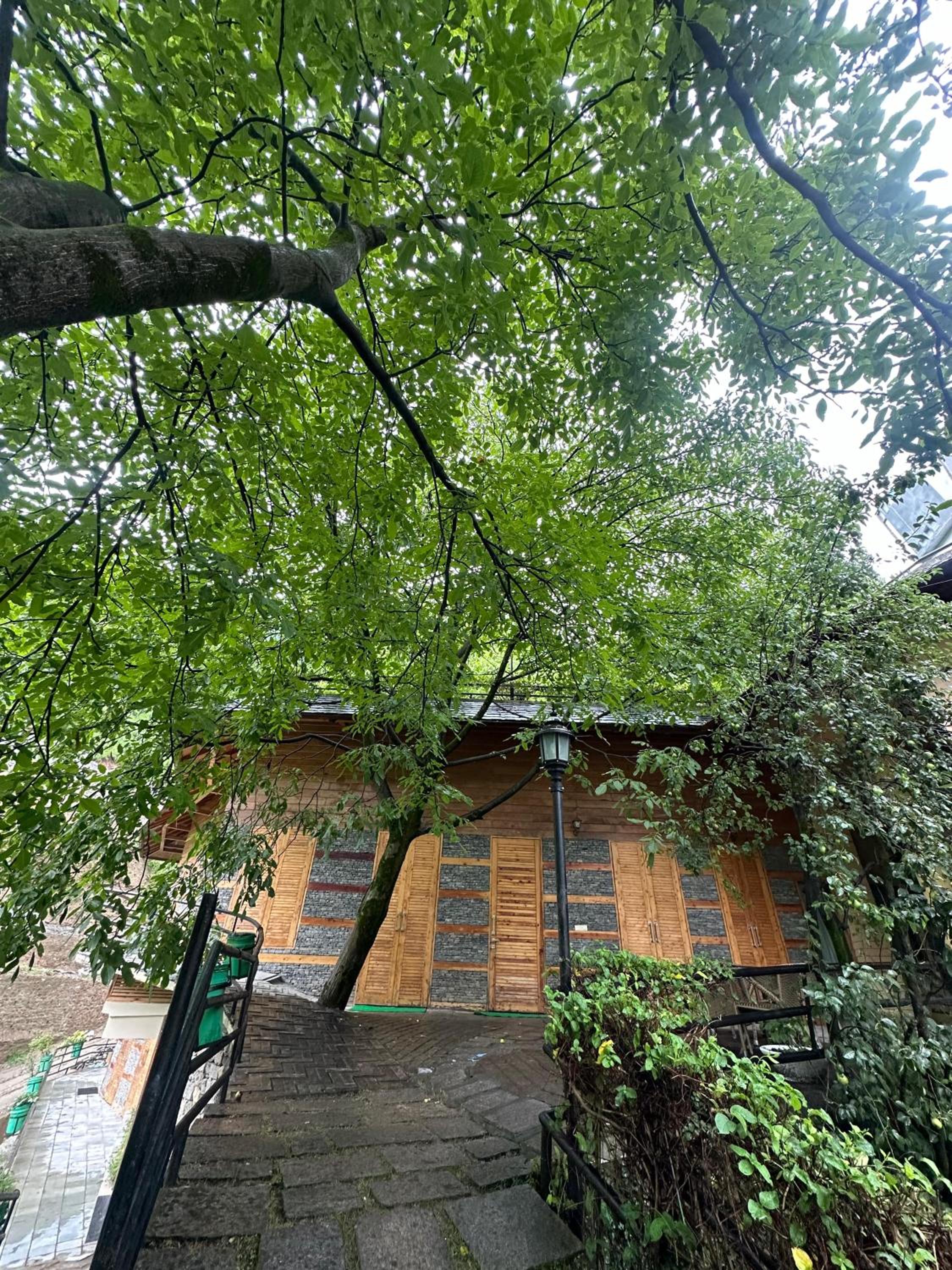 Three-Bedroom Villa - Rs.500/person credit on SPA usage - Photo 6