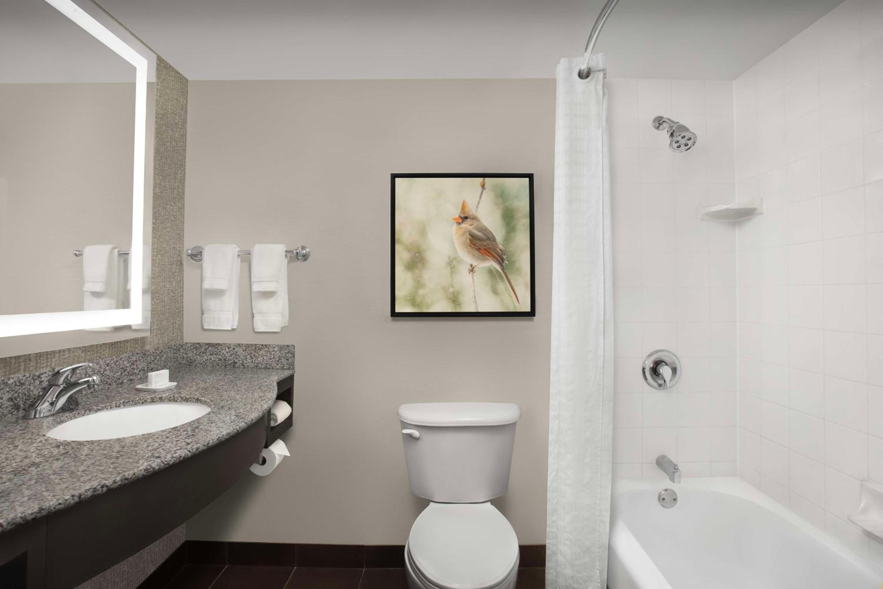 King Room with Shower/Tub - Photo 6