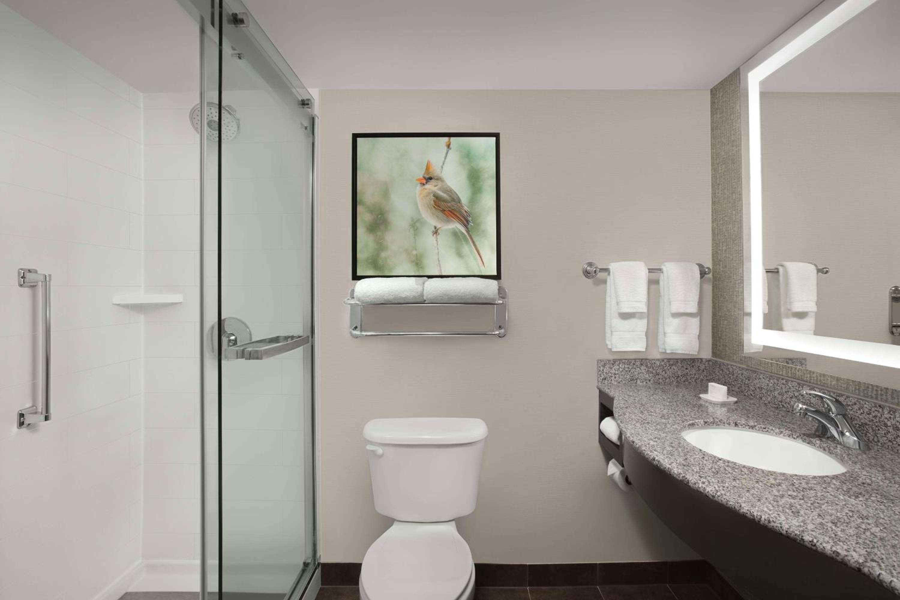 King Room with Walk-In Shower - Photo 2