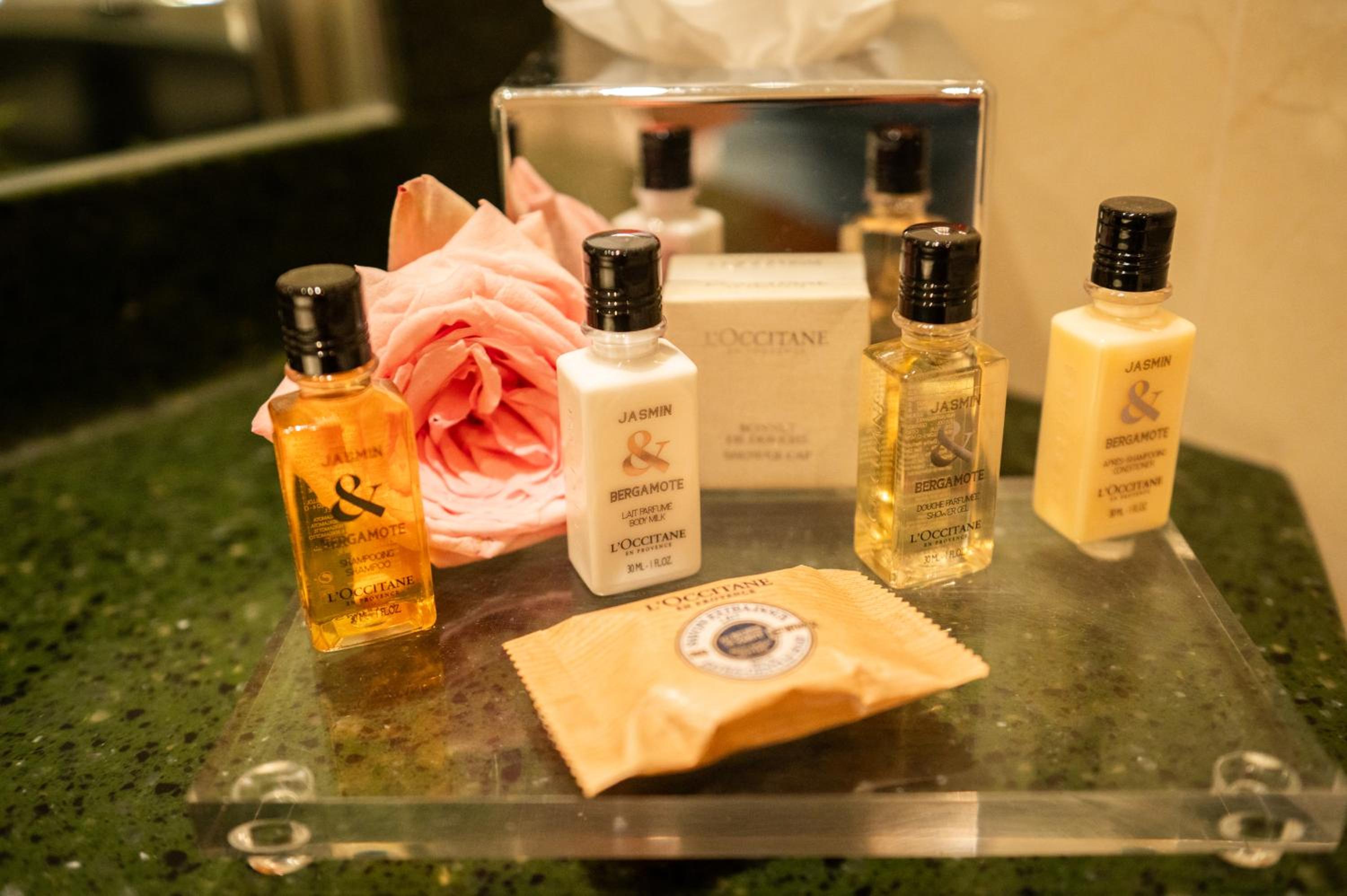 Luxury Suite - Photo 4