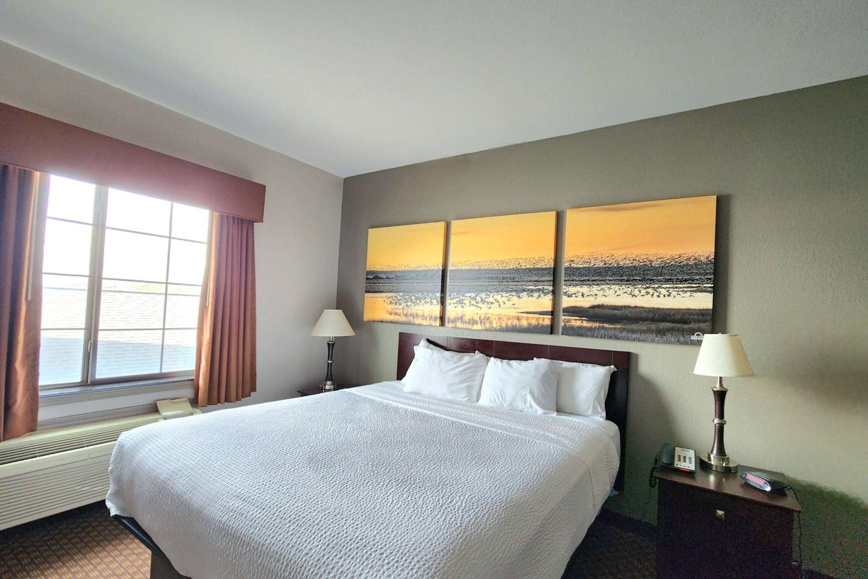 King Room with Roll-In Shower - Mobility/Hearing Accessible - Non-Smoking - Photo 1