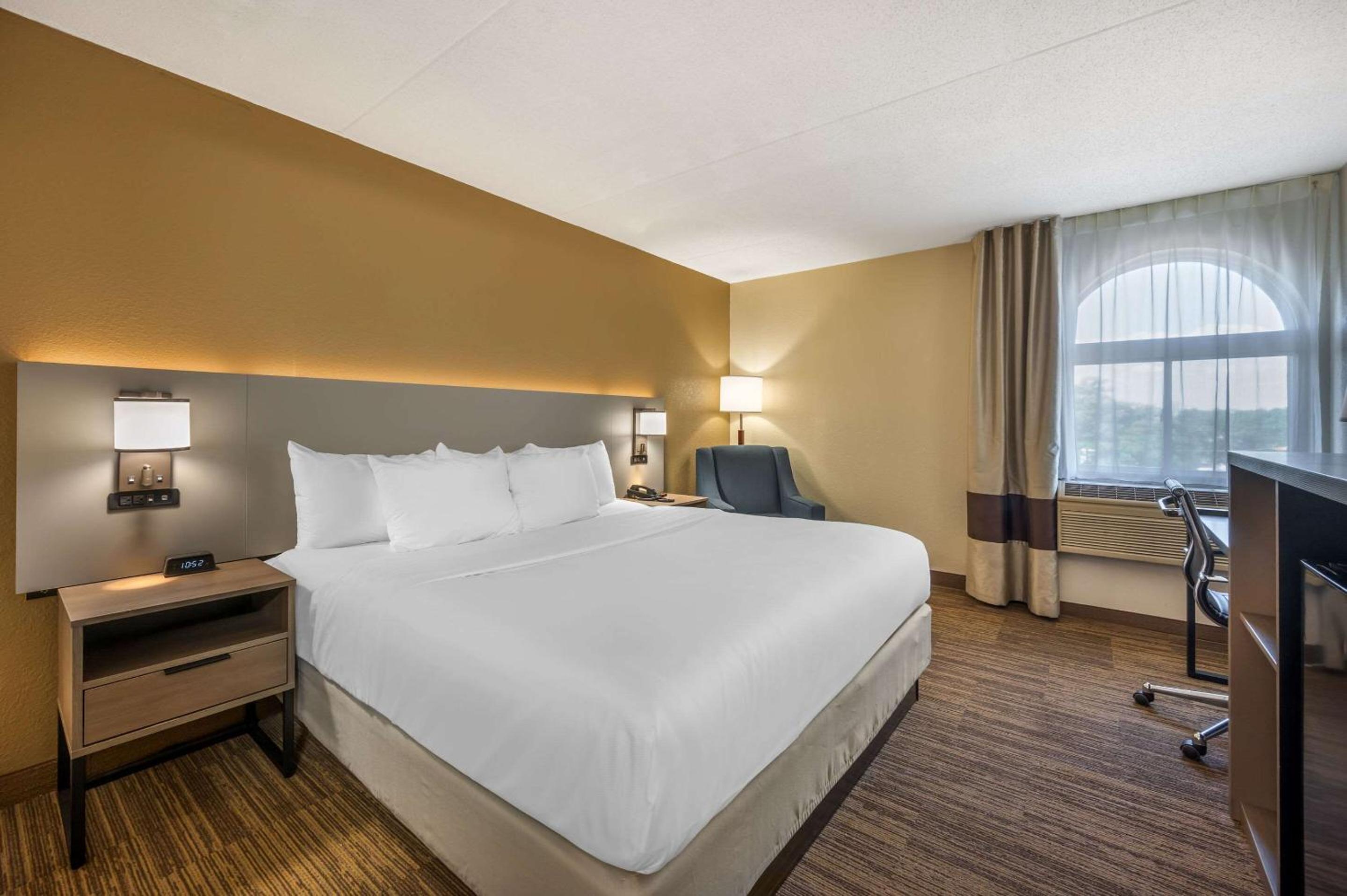 King Room - Photo 1