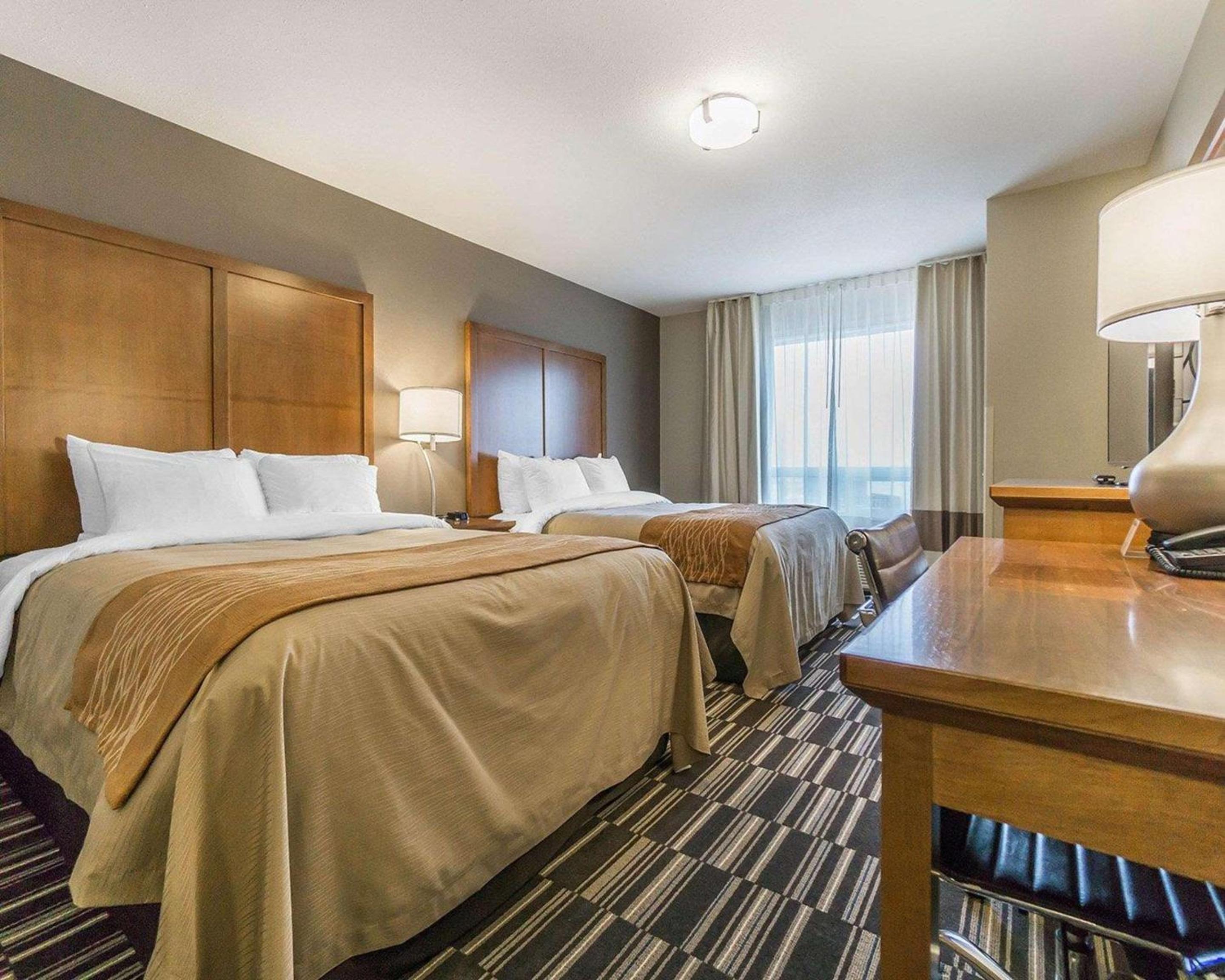Queen Room with Two Queen Beds photo 1