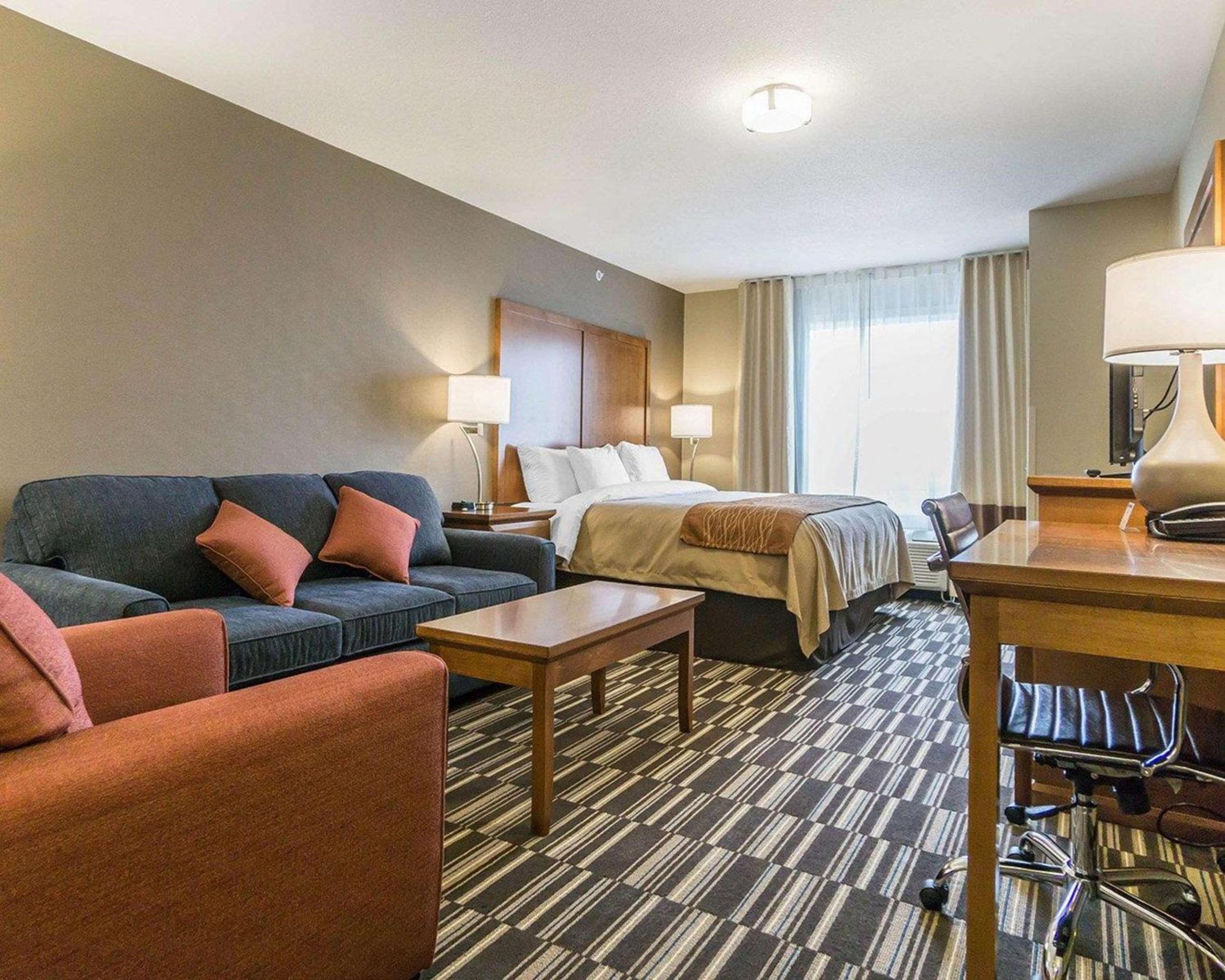 Executive King Suite with Sofa Bed photo 1