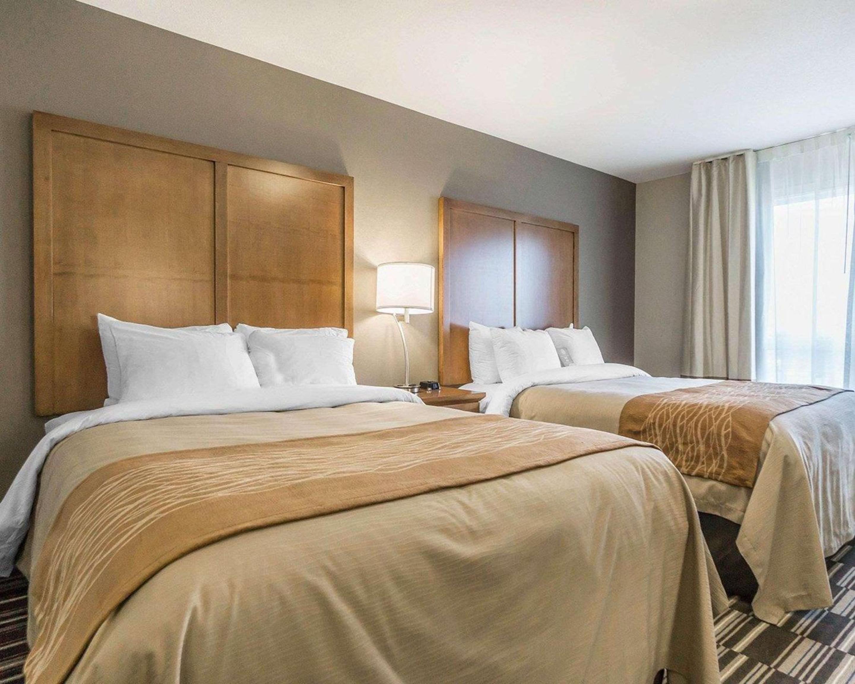 Queen Room with Two Queen Beds photo 3