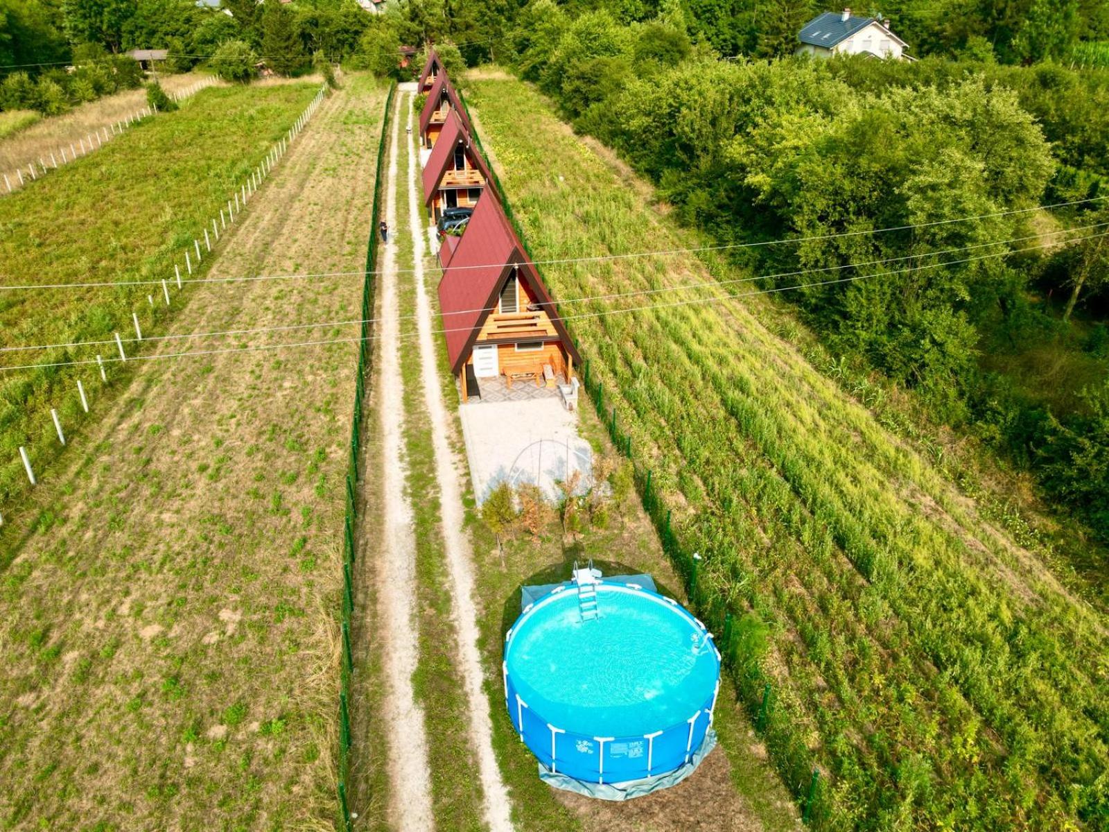 Vacation Home photo 3