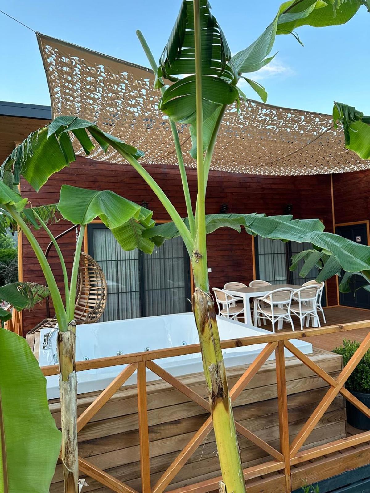 Villa With Garden View photo 2
