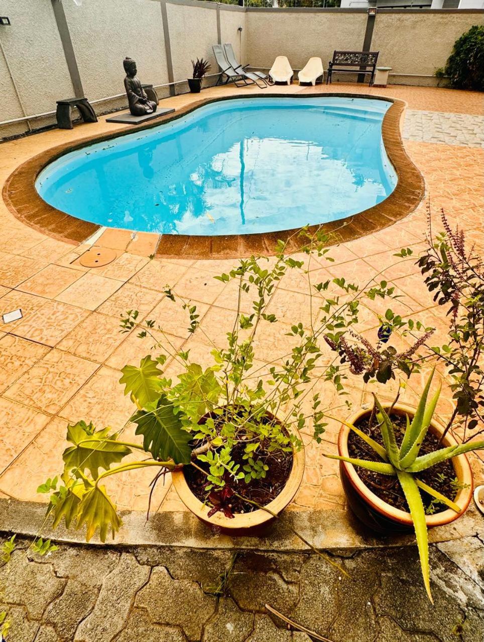 Two-Bedroom Apartment with Pool View photo 3