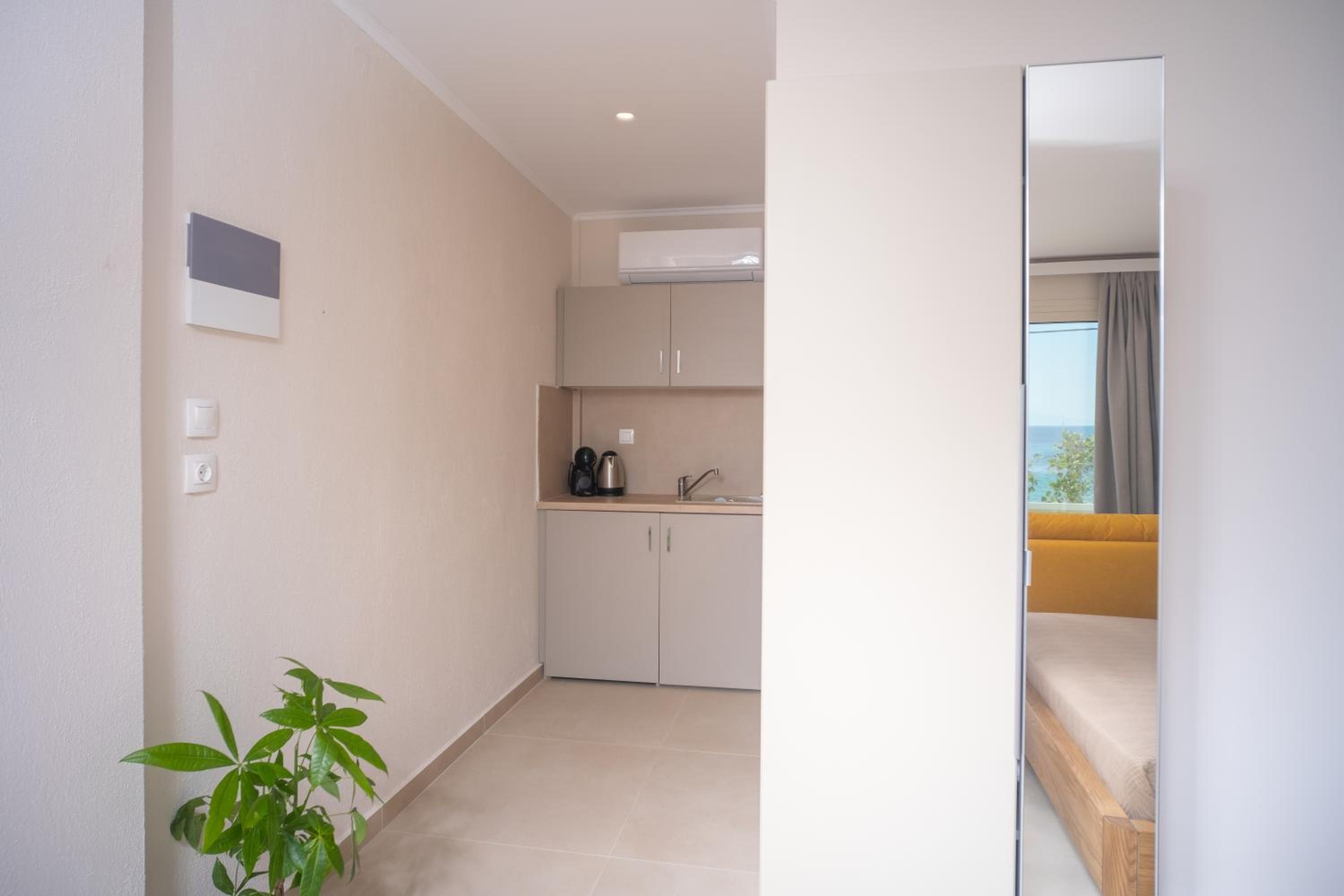 One-Bedroom Apartment photo 3
