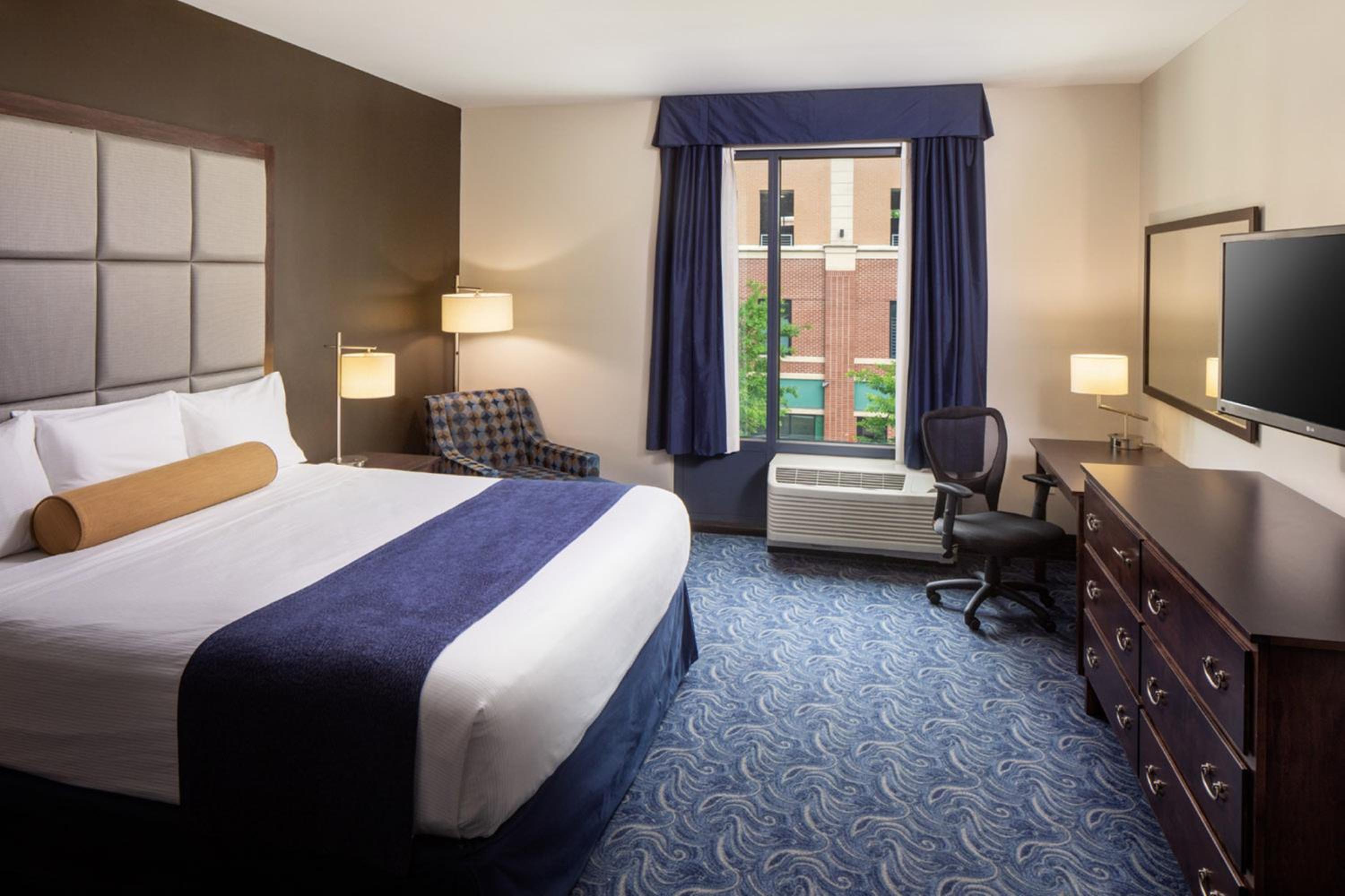 King Room photo 1