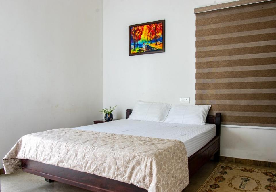 Double Room with Mountain View photo 1