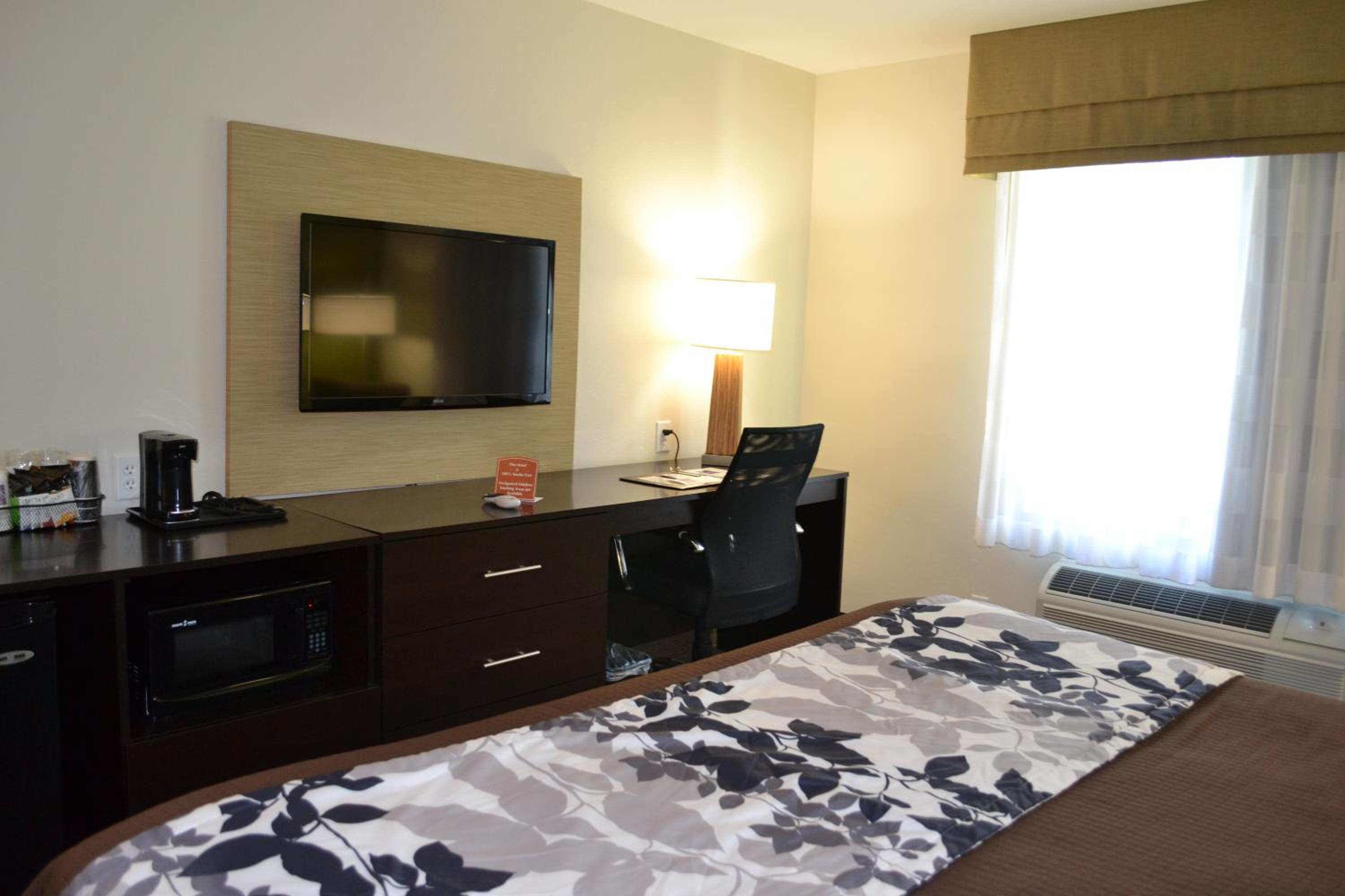 King Room - Non-Smoking photo 3
